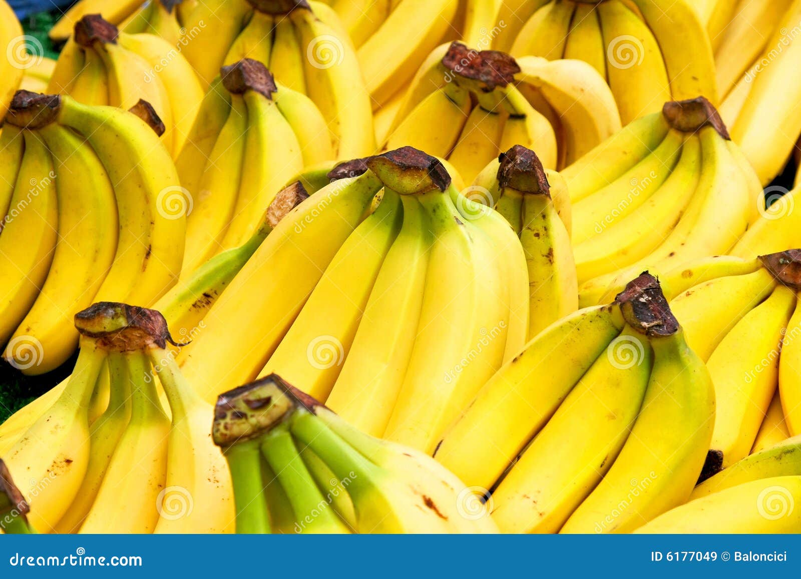 Bananas stock image. Image of bananas, tropic, natural 6177049