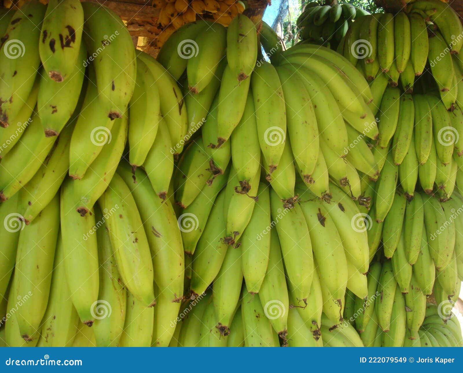 Bananas at a Fruit and Vegetable Stall in Sri Lanka Stock Image Image