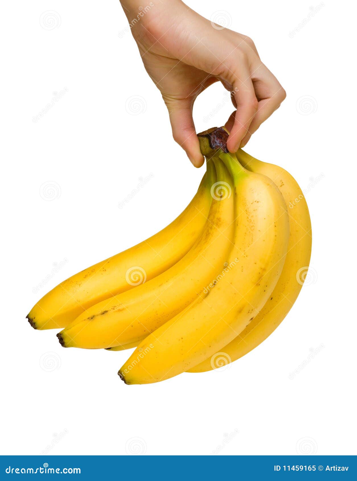 Bananas in hand stock image. Image of ripe, lifestyle 11459165