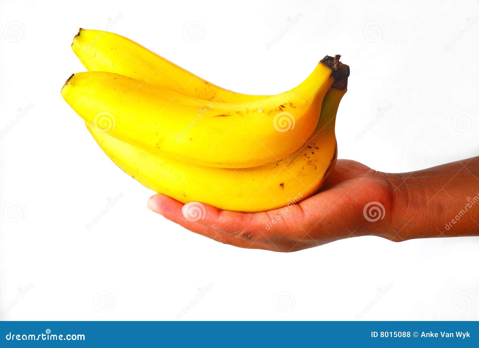 Bananas in hand stock photo. Image of african, growth 8015088
