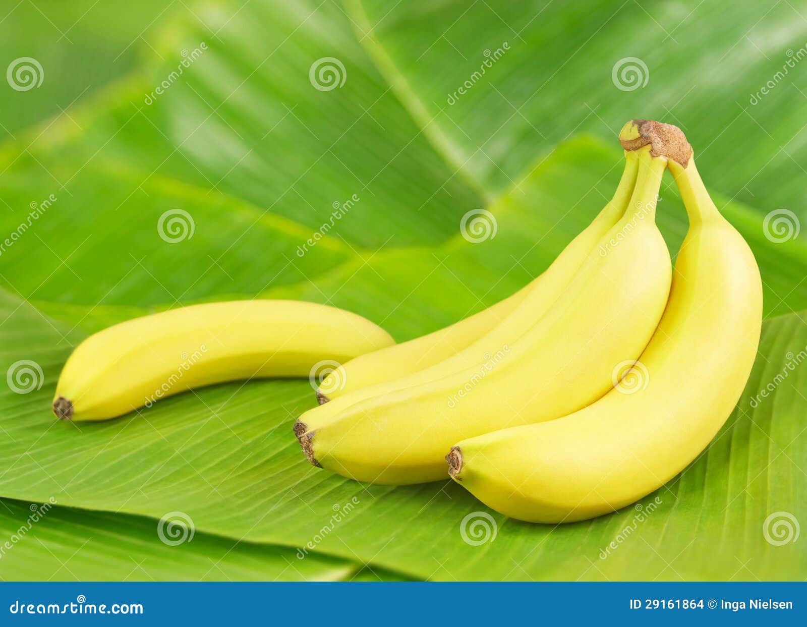 bananas on leaves