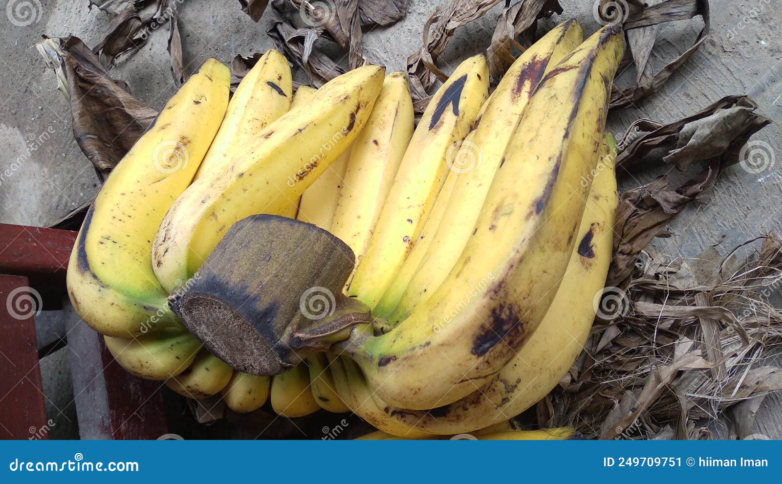 Bananas are Rich in the Mineral Potassium Which is Important for