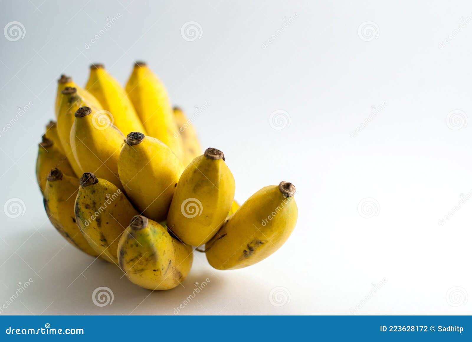 Fresh Bruise On White Skin. Painful Green Purple Huge Bruise On Leg