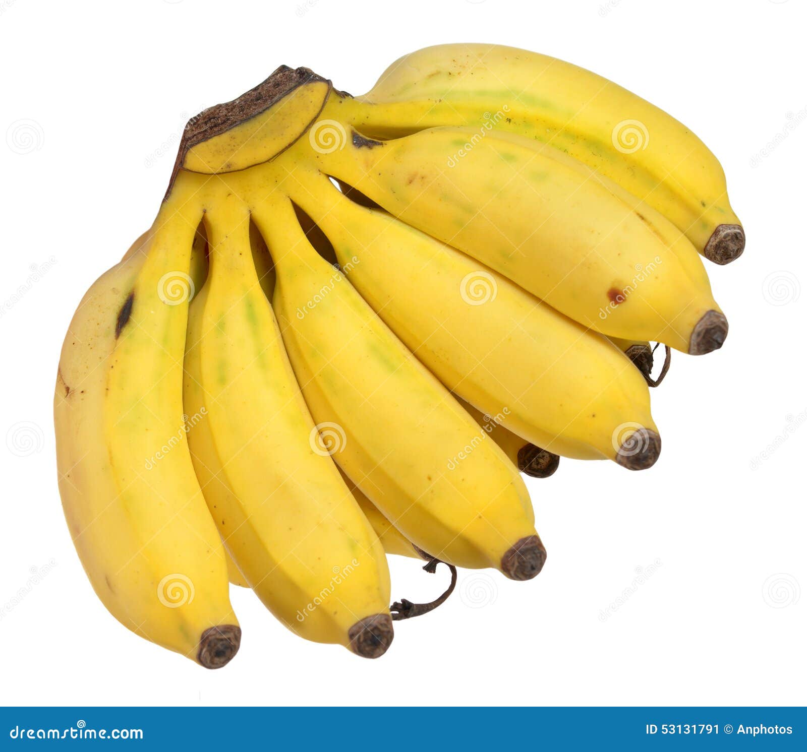 Banane De Bebe Image Stock Image Du Exportation Mur