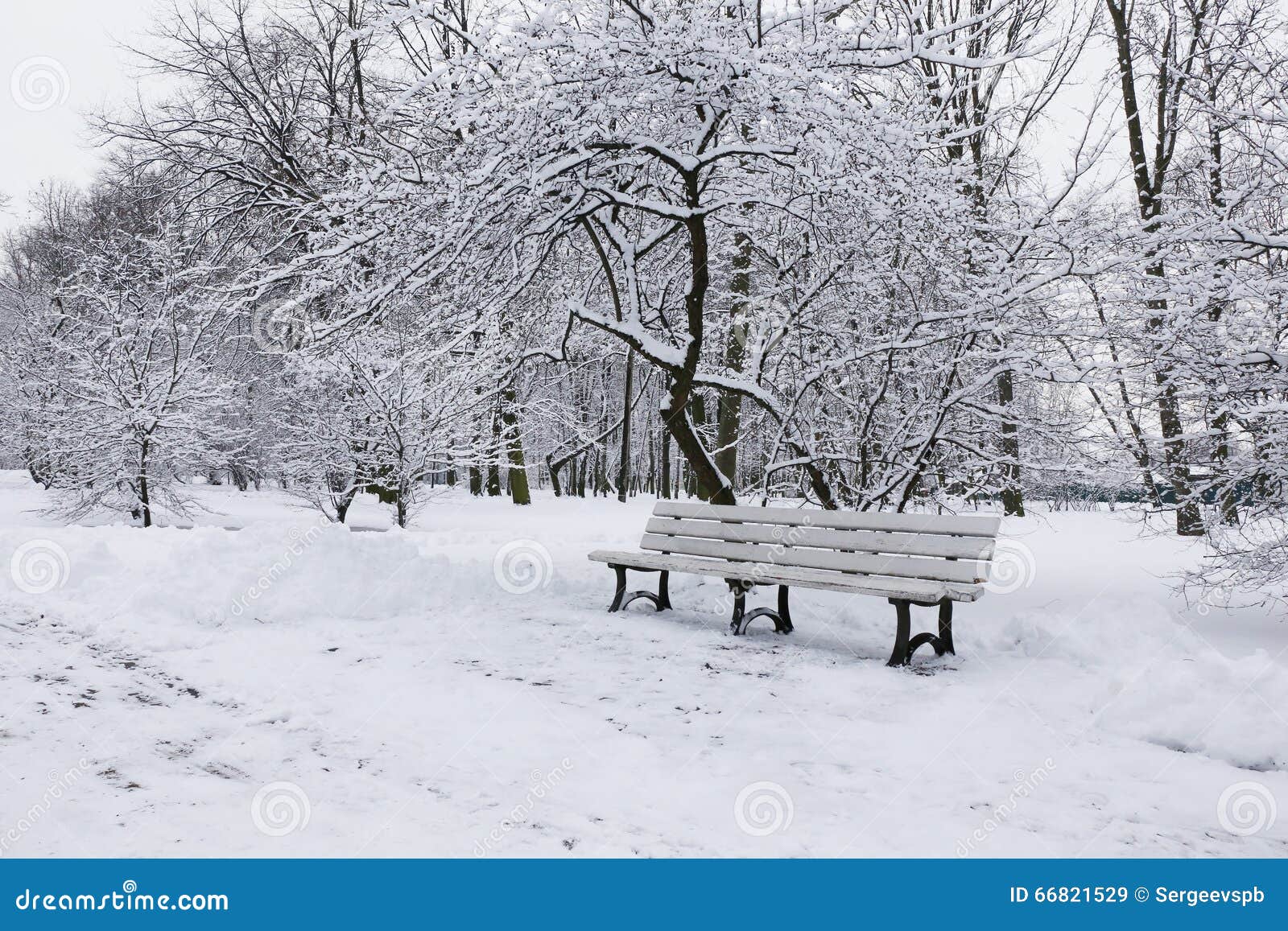Banc En Stationnement De L'hiver Image stock Image du path