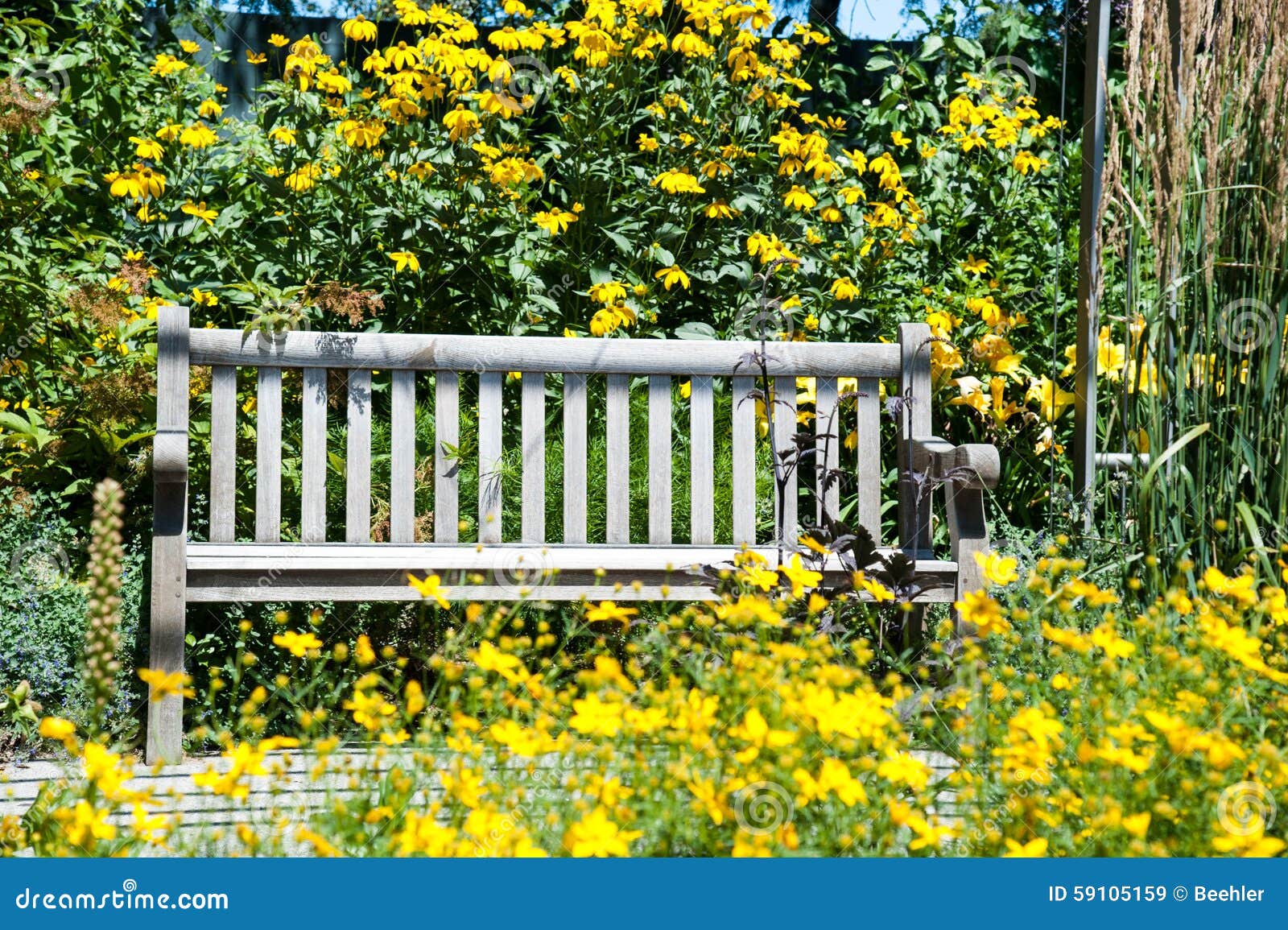 Banco De Parque Rodeado Con Las Flores Amarillas Imagen de archivo ...