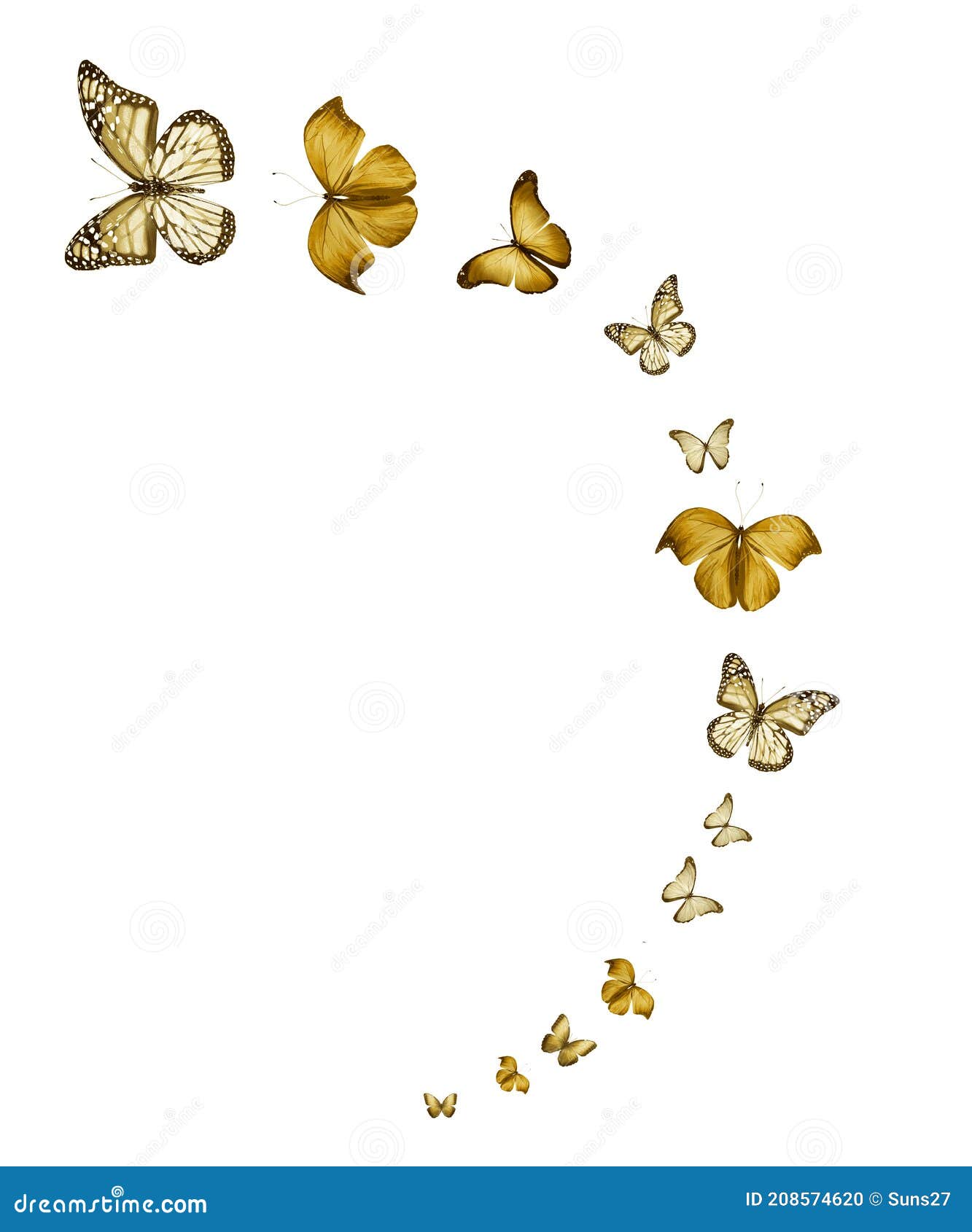 Bandada De Mariposas Voladoras Aisladas En Blanco Stock de ilustración -  Ilustración de multitud, cubo: 208574620