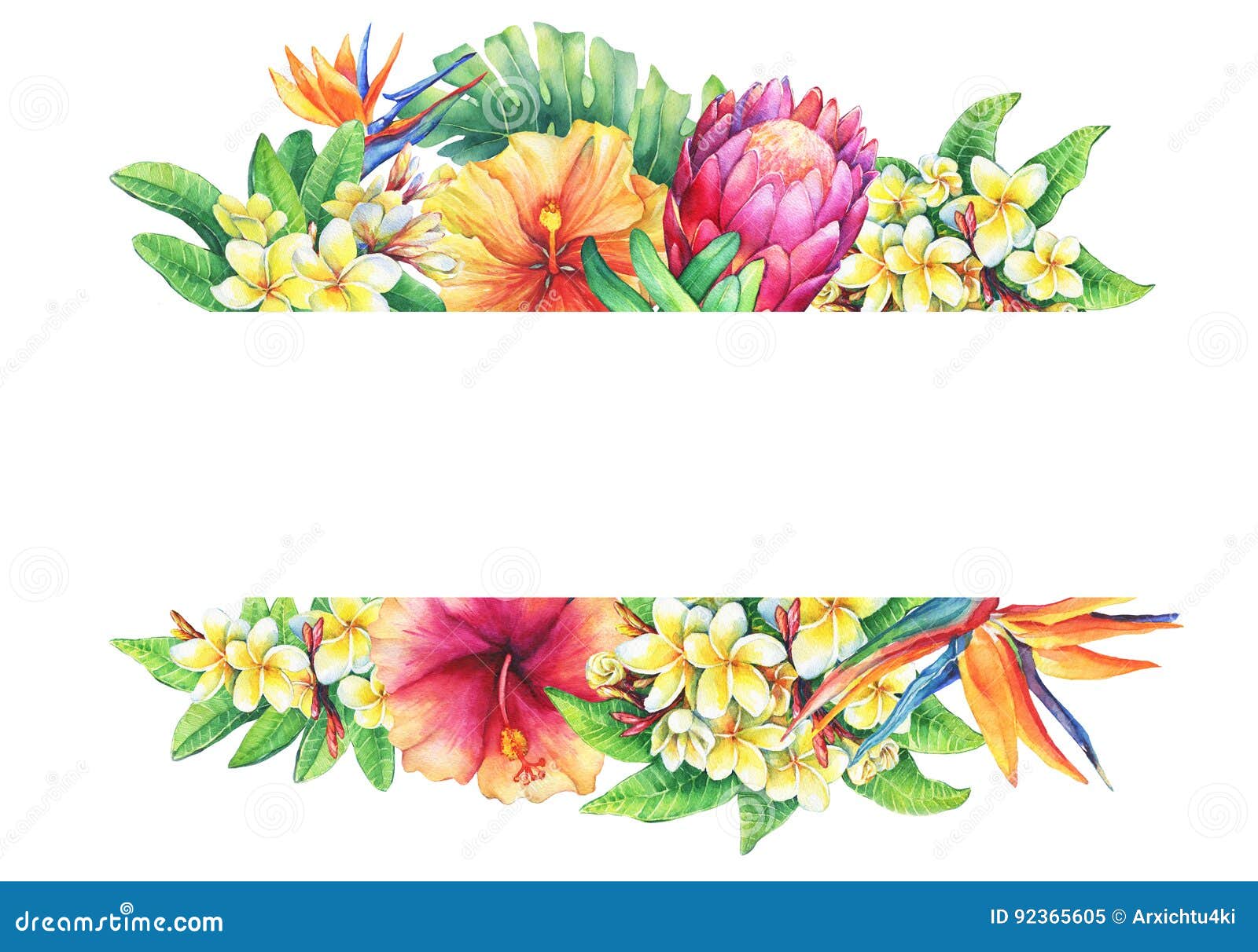 Featured image of post Flores Tropicais Laranja Png Choose from over a million free vectors clipart graphics vector art images design templates and illustrations created by artists worldwide