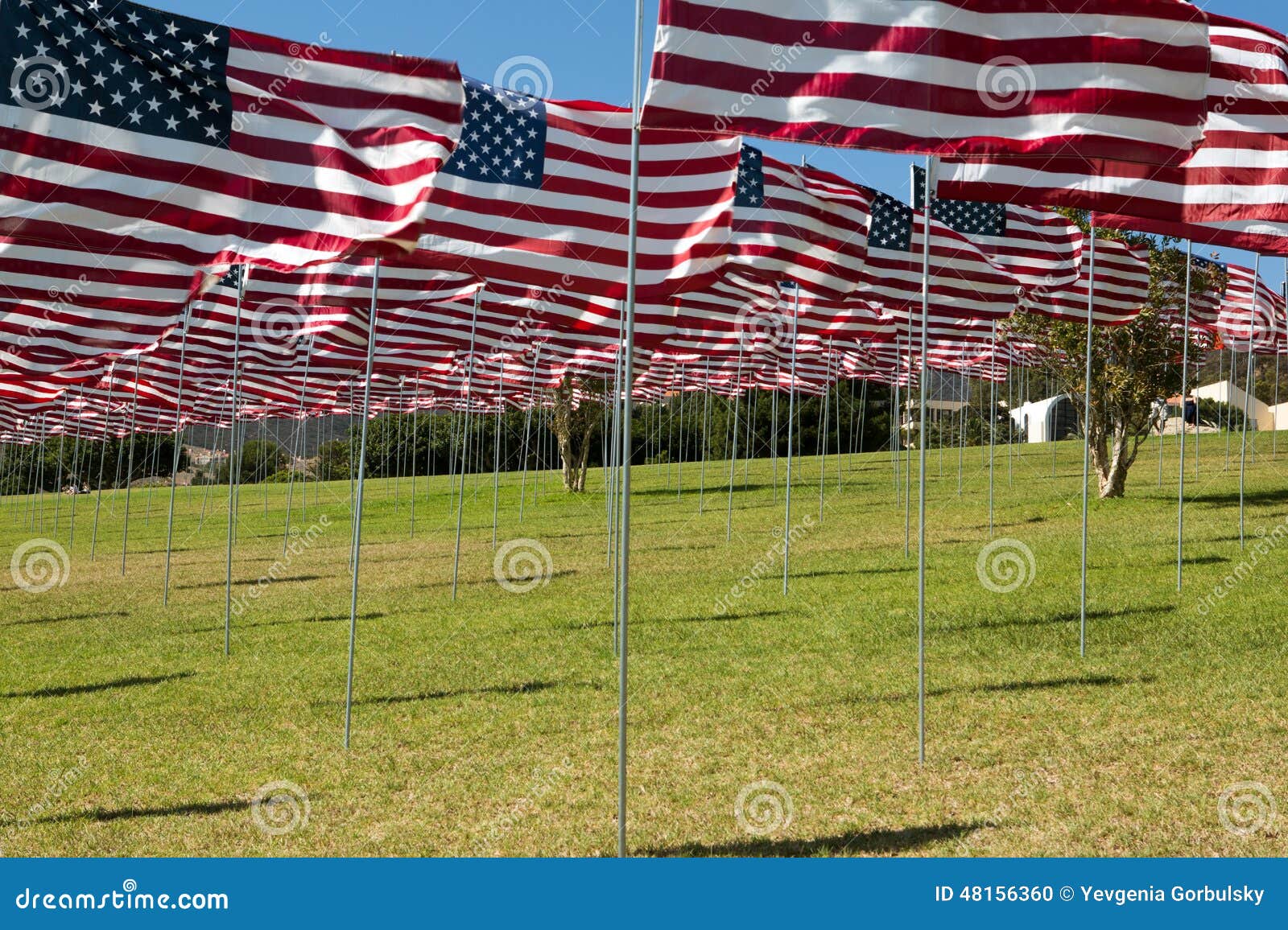 Muitas bandeiras americanas no tempo ventoso