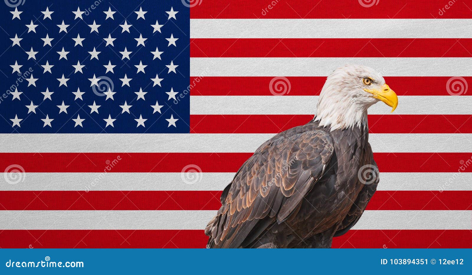 Bandera Americana, Eagle Calvo, Símbolos Nacionales De Los .U. Imagen  de archivo - Imagen de cultura, textura: 103894351