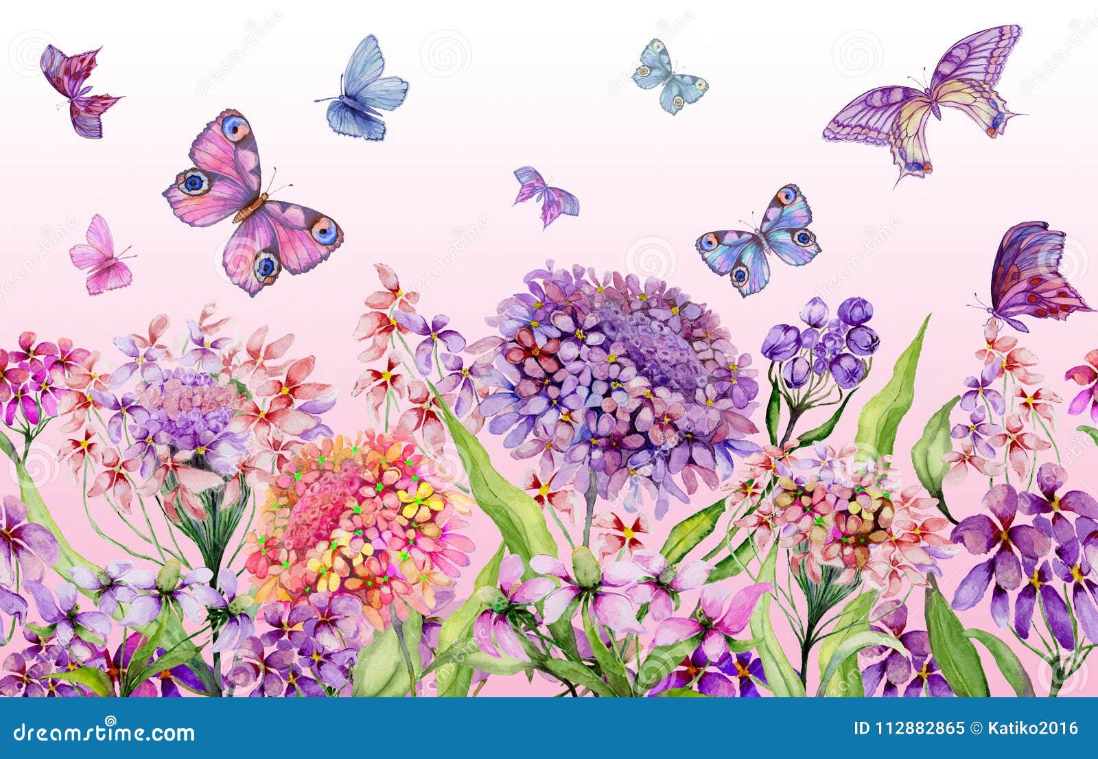 images Hermosos Fondos De Mariposas Y Flores https es dreamstime com bandera ancha del verano flores vivas hermosas iberis y mariposas coloridas en fondo rosado plantilla horizontal image112882865