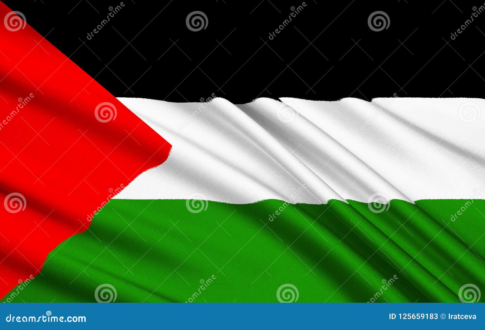 Bandera De Palestina - Bandera Palestina Stock de ilustración - Ilustración  de colores, negro: 125659183