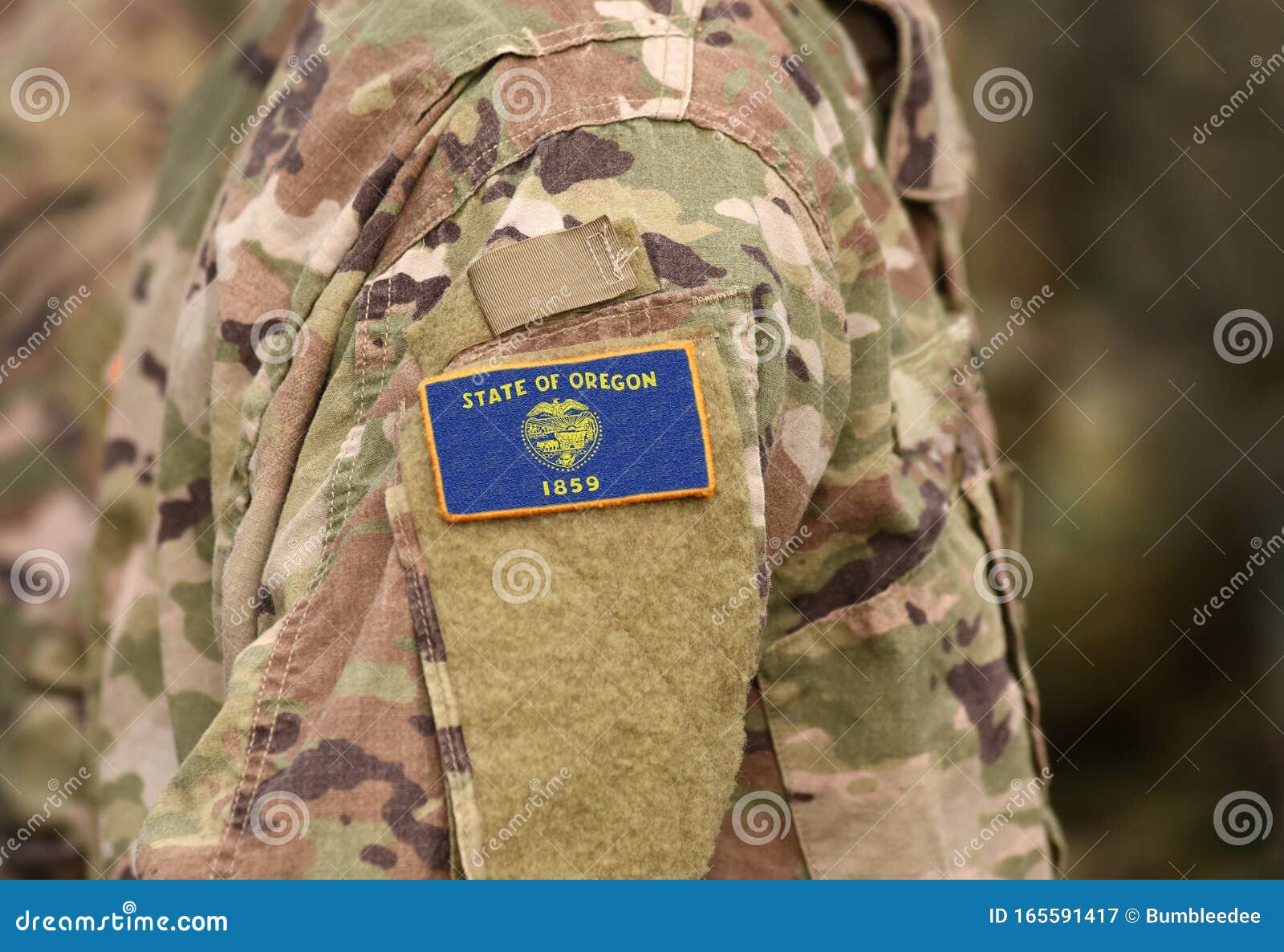 Bandera Del Estado De Oregón Con Uniforme Militar Estados Unidos EE.UU., Ejército, Soldados Collage Imagen archivo - Imagen de desfile, indicador: 165591417