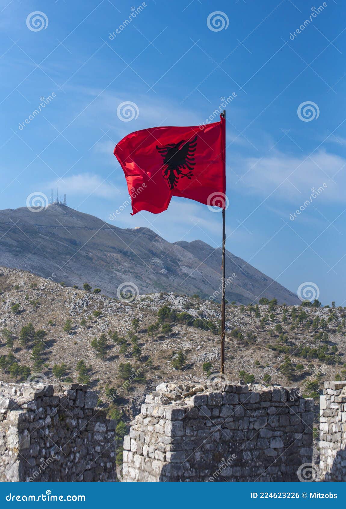 Bandera Roja Albanesa Con águila Negra De Doble Cabeza Foto de archivo -  Imagen de vacaciones, indicador: 224623226
