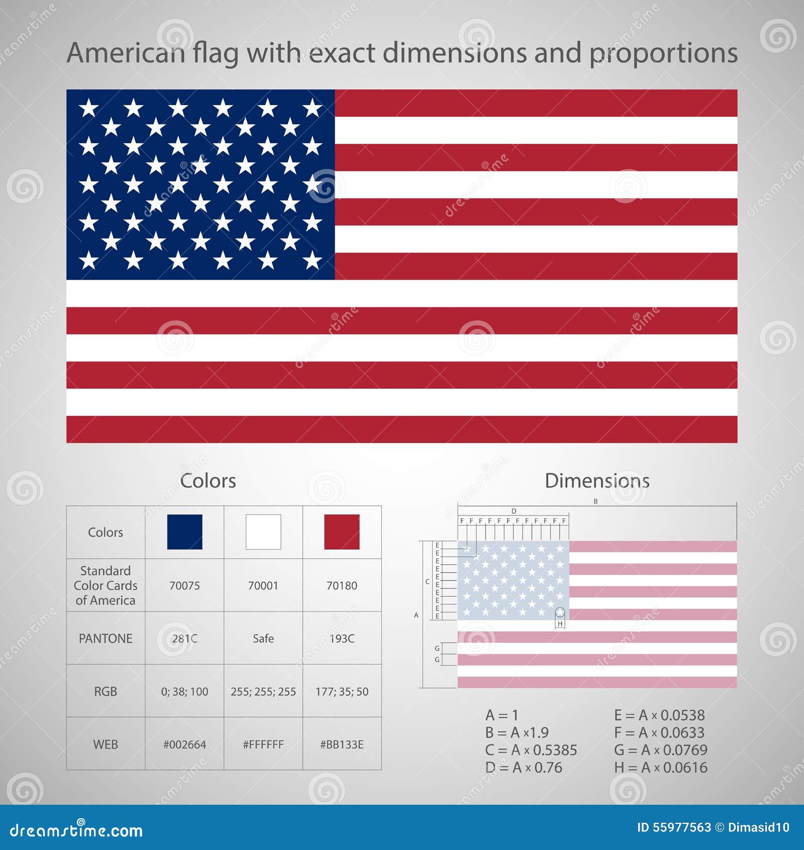 Bandiera Americana Con Le Dimensioni Esatte Illustrazione Vettoriale -  Illustrazione di patriota, governo: 55977563