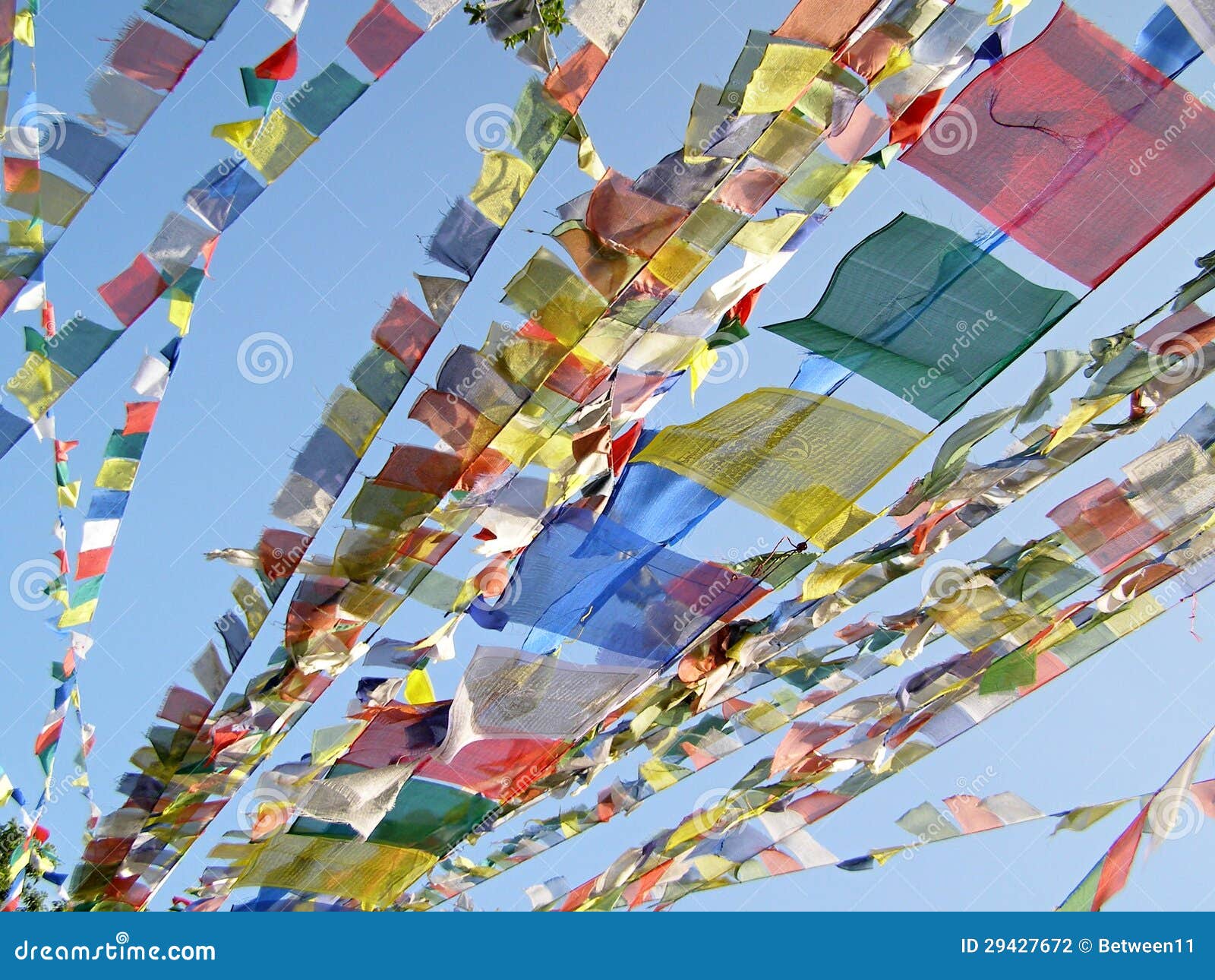 20x Rotolo Bandiere Tibetane Preghiera Buddhista LUNG TA Festone - Foto 12