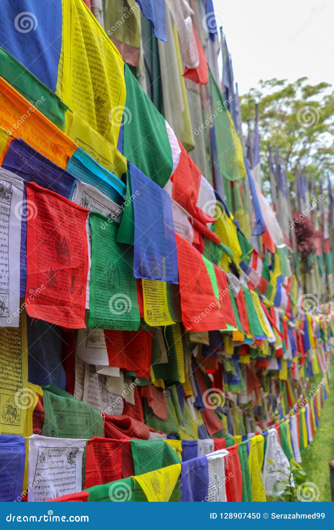 Bandiere Tibetane Di Preghiera Fotografia Stock - Immagine di fede,  tradizionale: 128907450