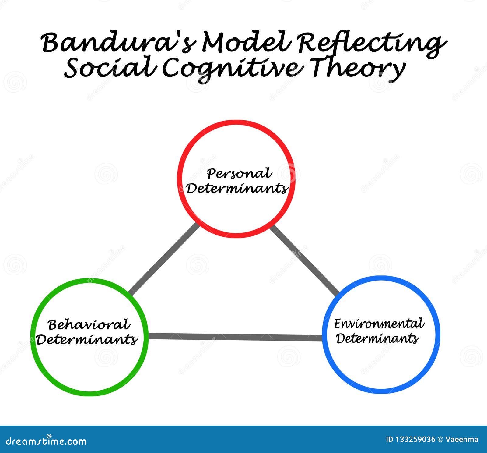 social cognitive theory and homework