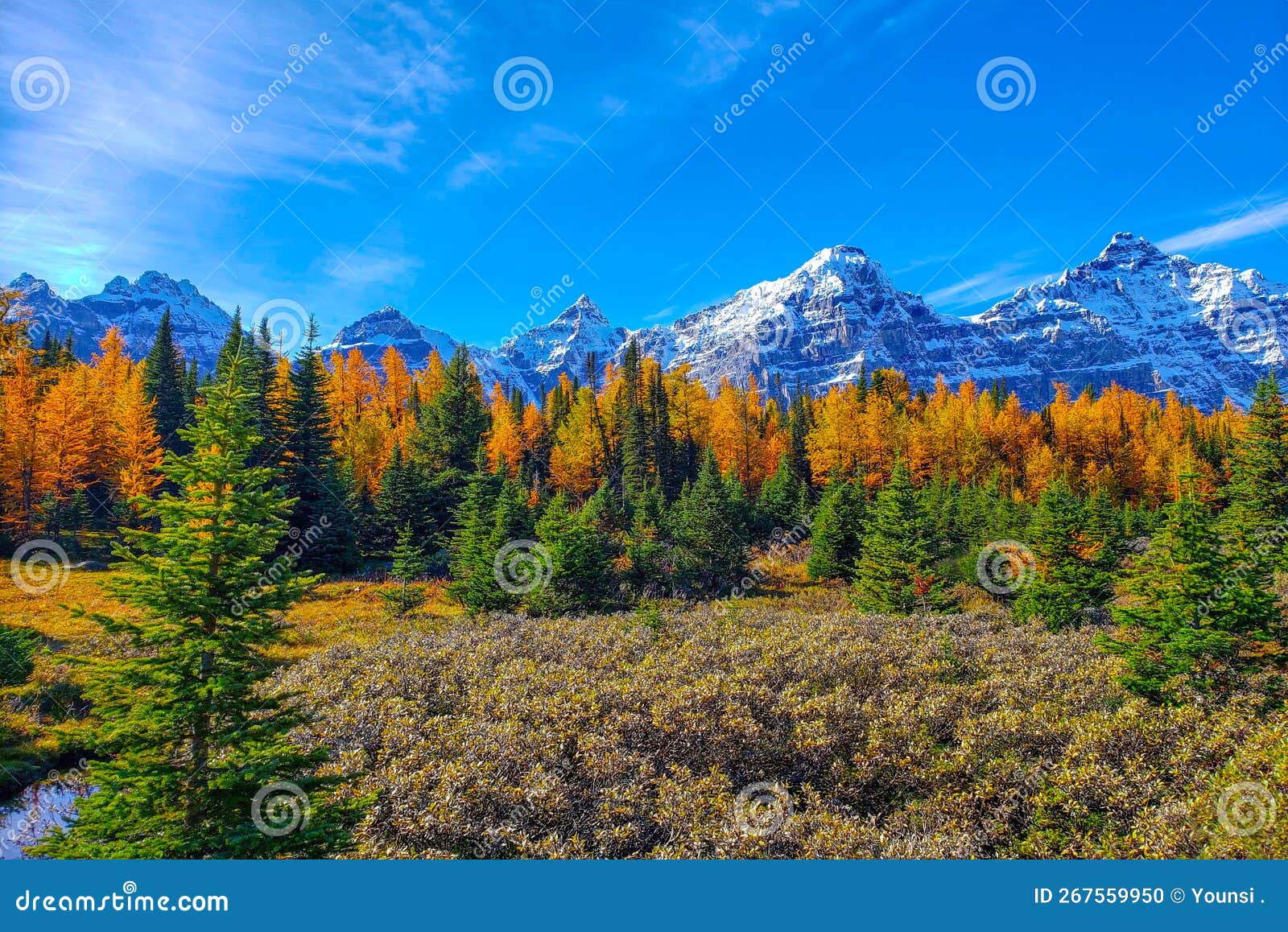 Banff National Park during Autumn, Alberta Canada Stock Photo Image