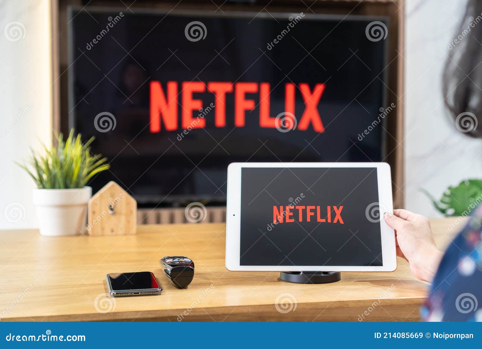 Netflix logo on computer monitor, Netflix-Logo auf Computermonitor