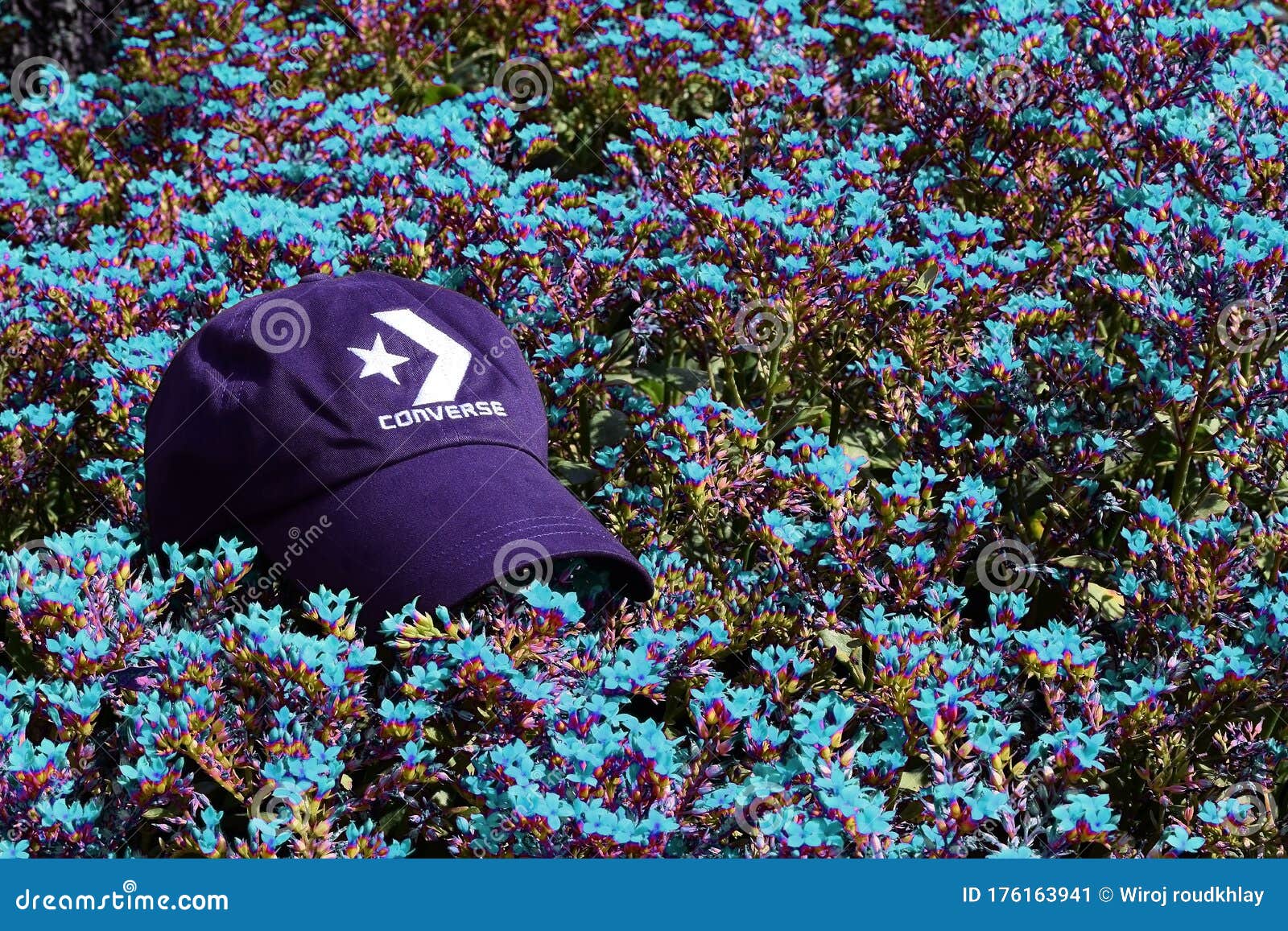 Blue Converse Brand Hat Placed on the Blue Flower. Editorial Photo - Image  of clothes, board: 176163941