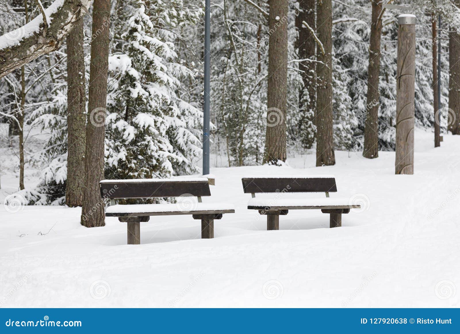 Bank in Einem Wald Bedeckt Mit Schnee Stockfoto - Bild von schnee