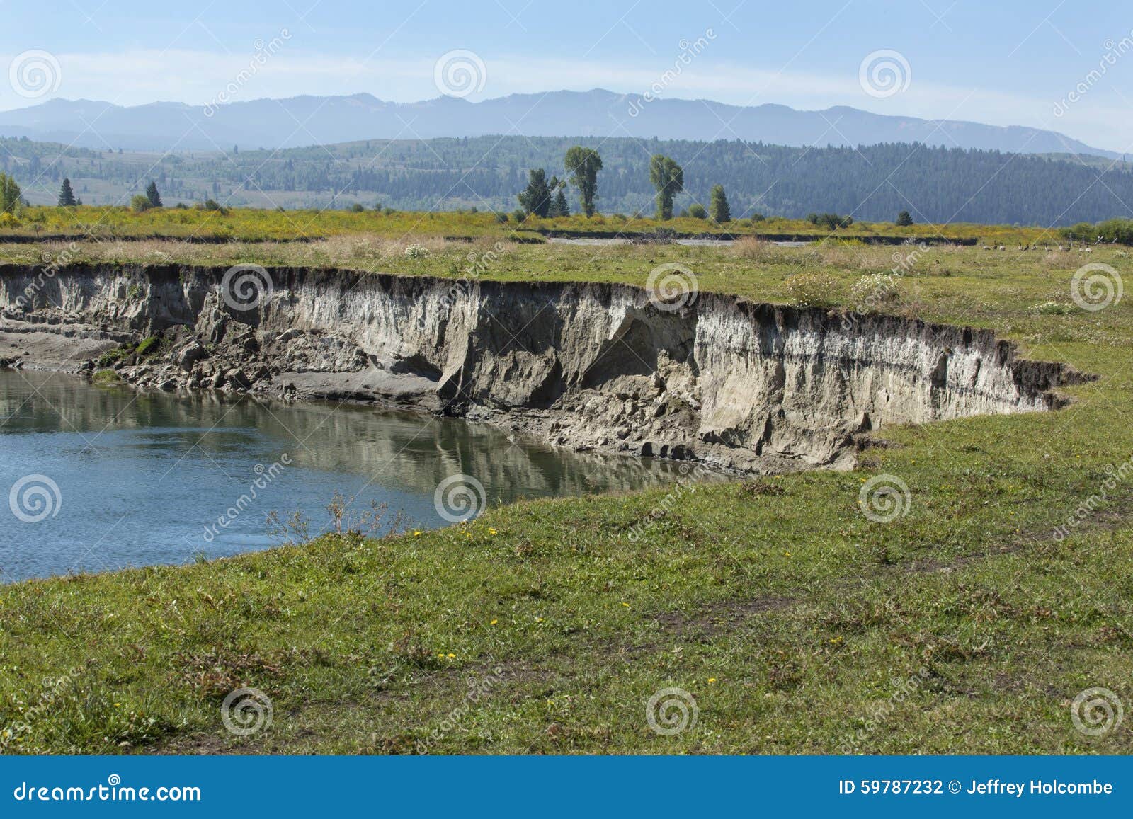 bank erosion, pasture along buffalo fork river, moran, wyoming.