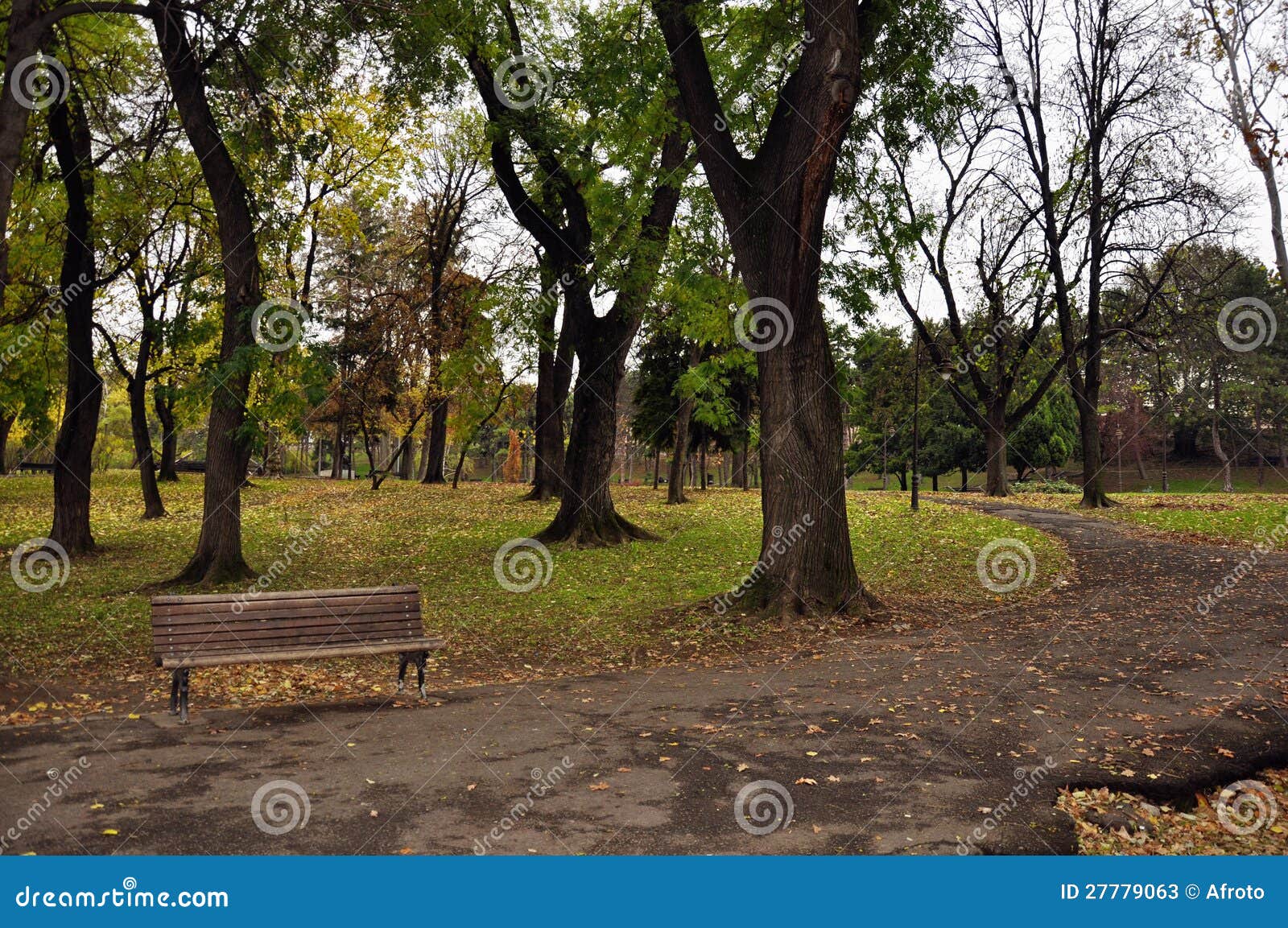 Bank im Park stockbild. Bild von schön, blätter, leer - 27779063