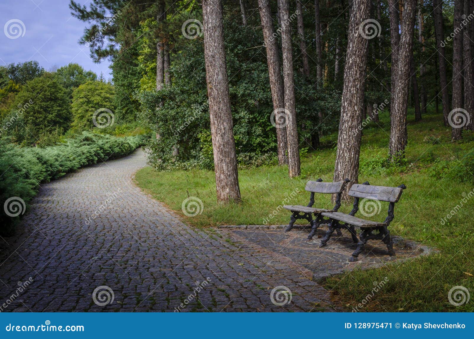 Bank Im Park Durch Den Baum Stockbild Bild von relax, architektur