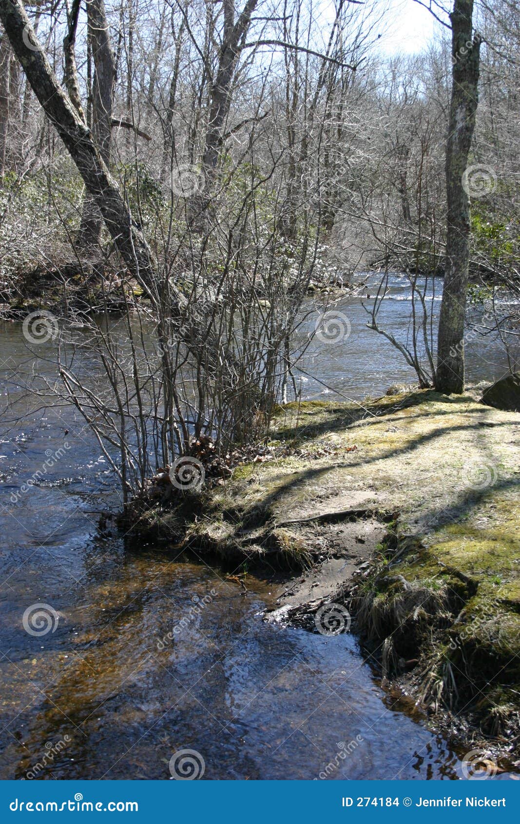 Bank of the river stock photo. Image of creak, holidays 274184