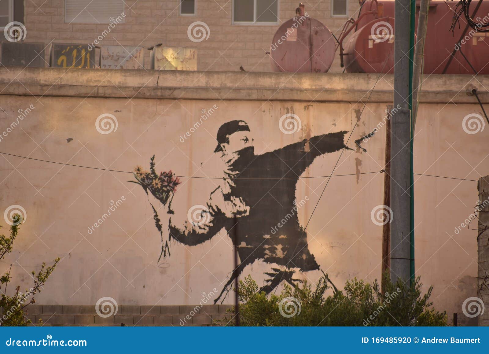 Banksy Flower Thrower On Side Of A Garage In Bethlehem Editorial Image Image Of Controversial Bank 169485920