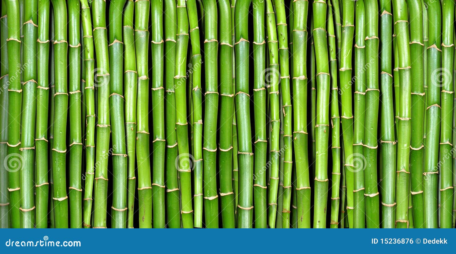 banner of bamboo
