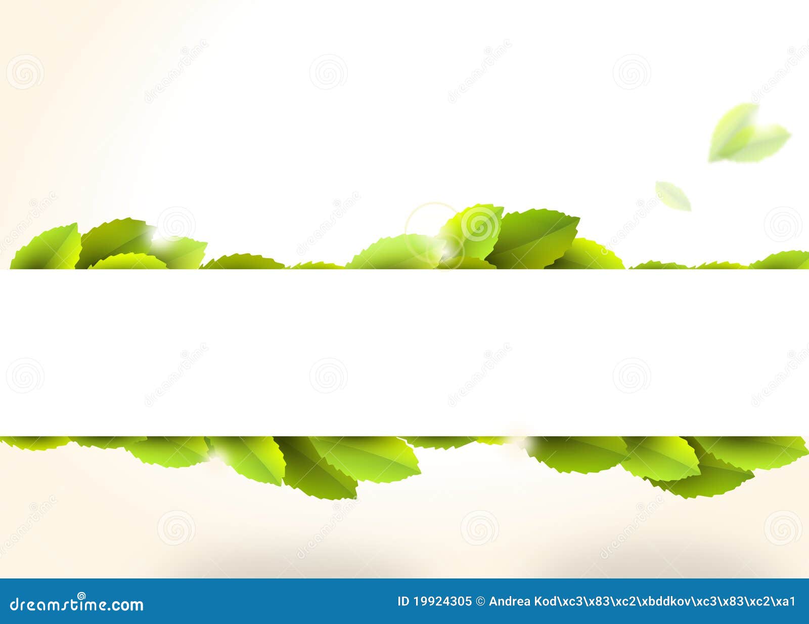  Banner  With Green  Leaves  Royalty Free Stock Photo Image 