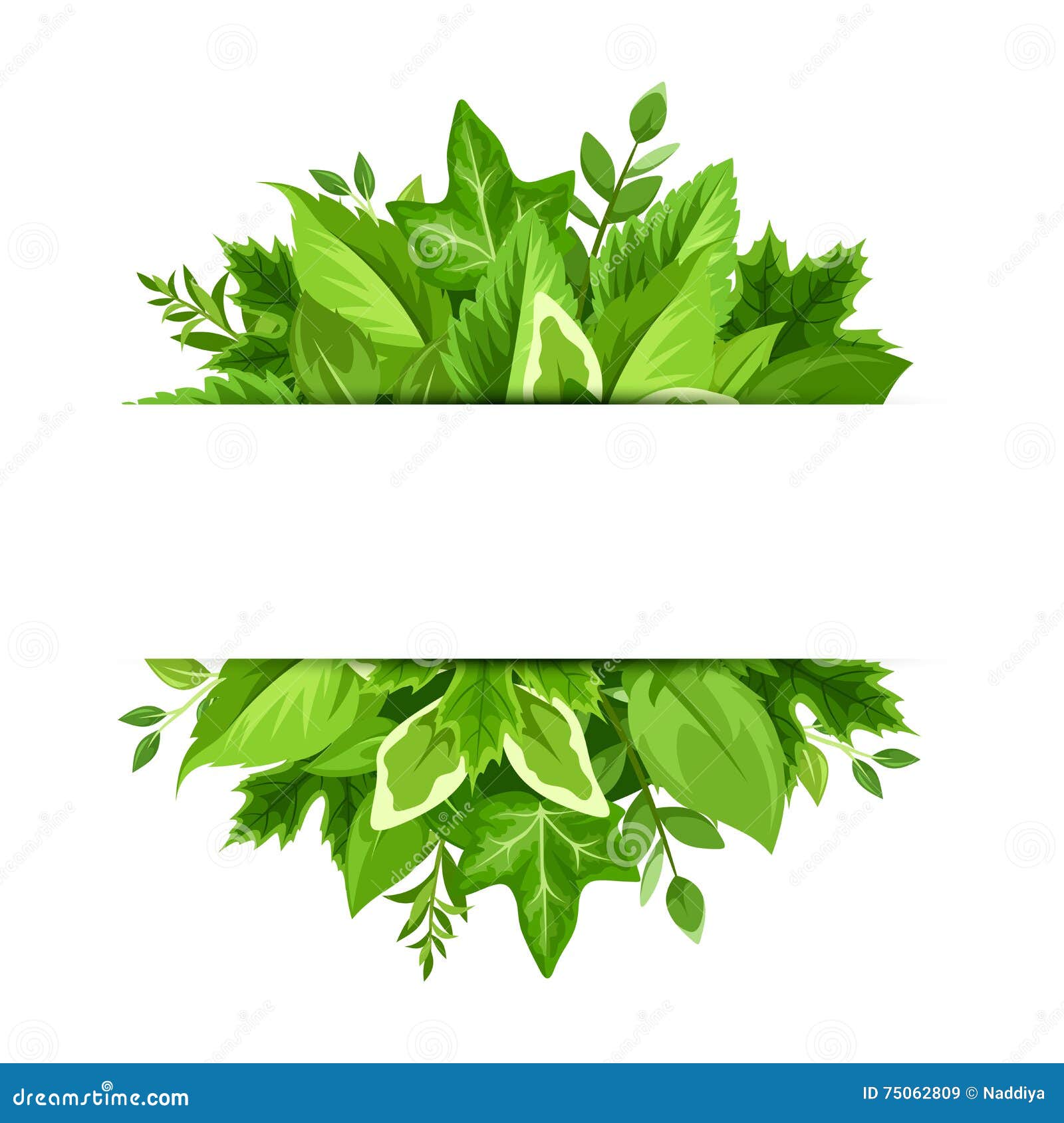  Banner  With Green  Leaves  Vector Background Stock Vector 