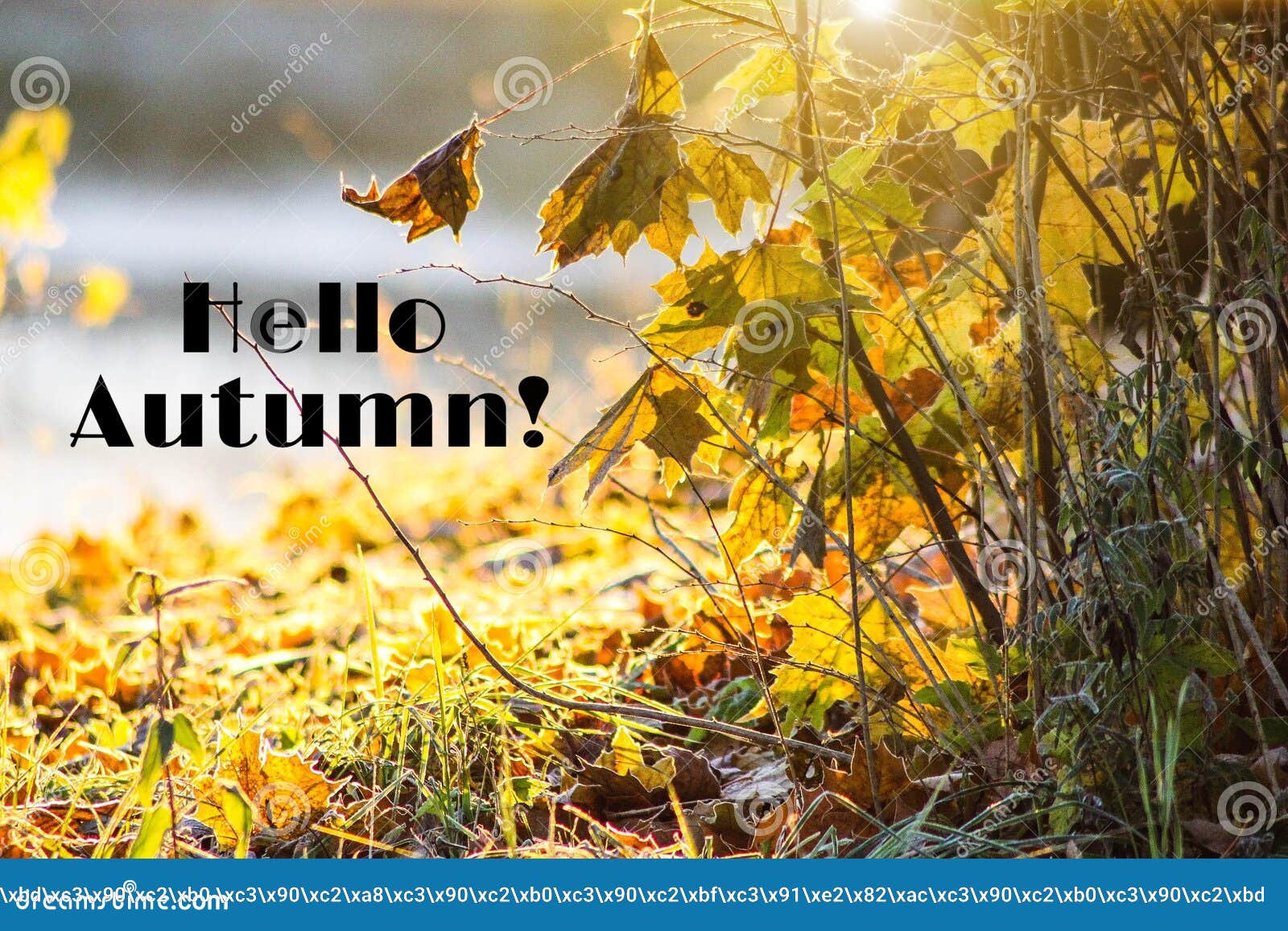 months of autumn months of autumn