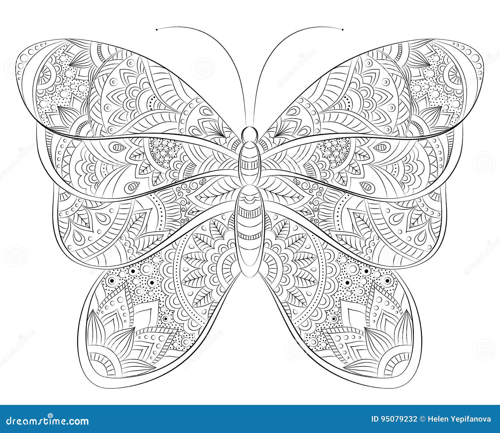 banniere de papillon zentangle griffonnage vecteur souhait felicitations carte postale calibre pour imprimer web desi illustration du nature 95079232  coloriage dalmatiens disney