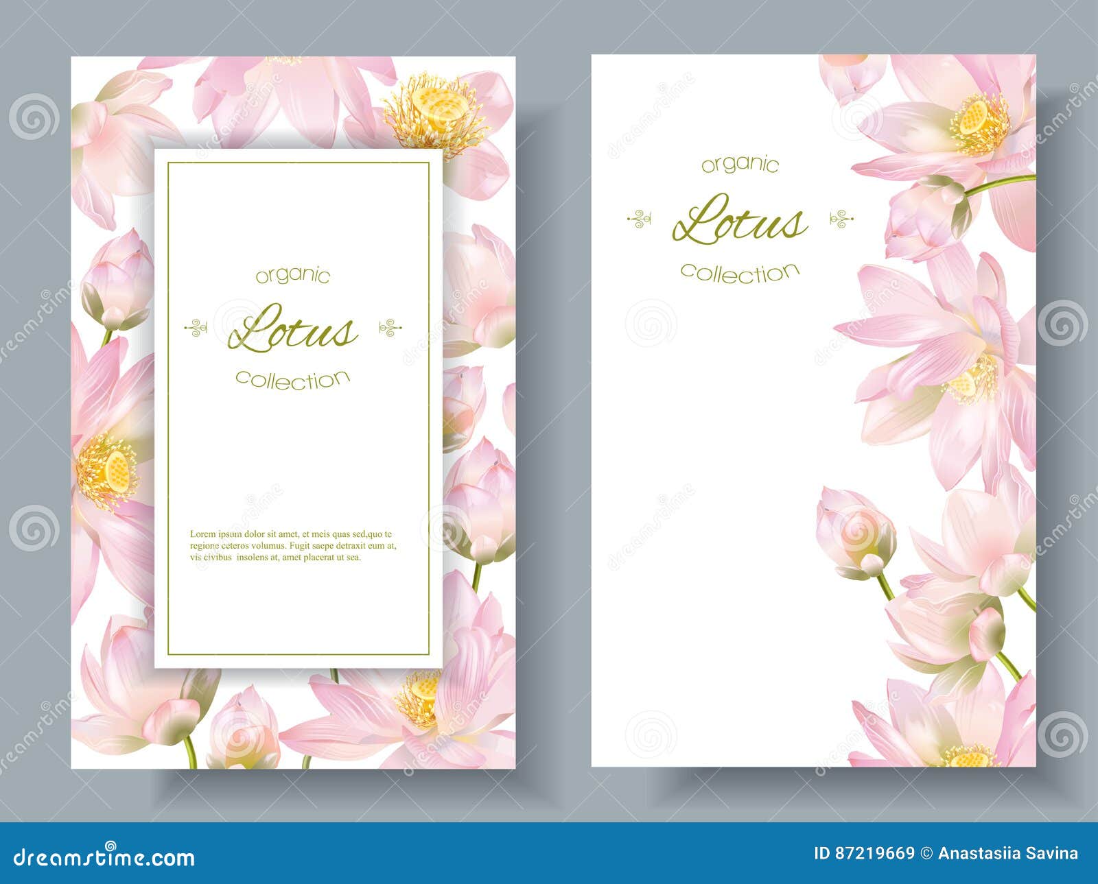 Bannières De Fleur De Lotus Illustration De Vecteur