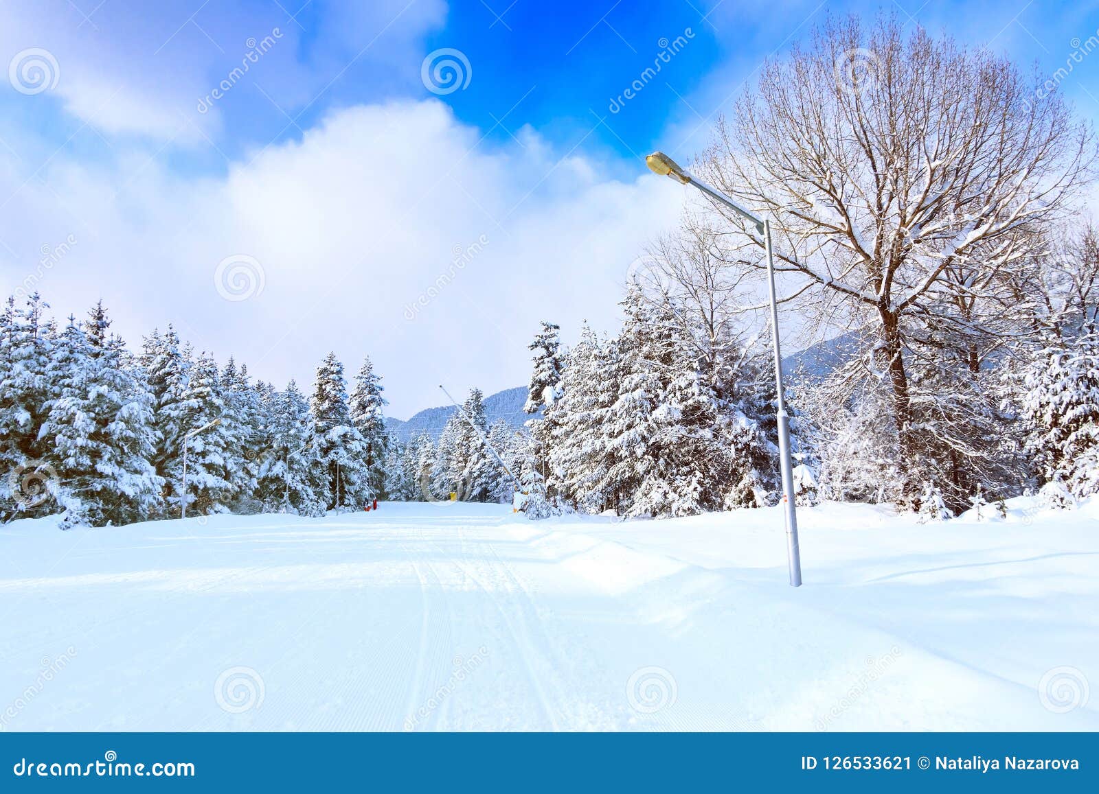 Bansko Ski Slope and Snow Trees, Bulgaria Stock Image Image of colors