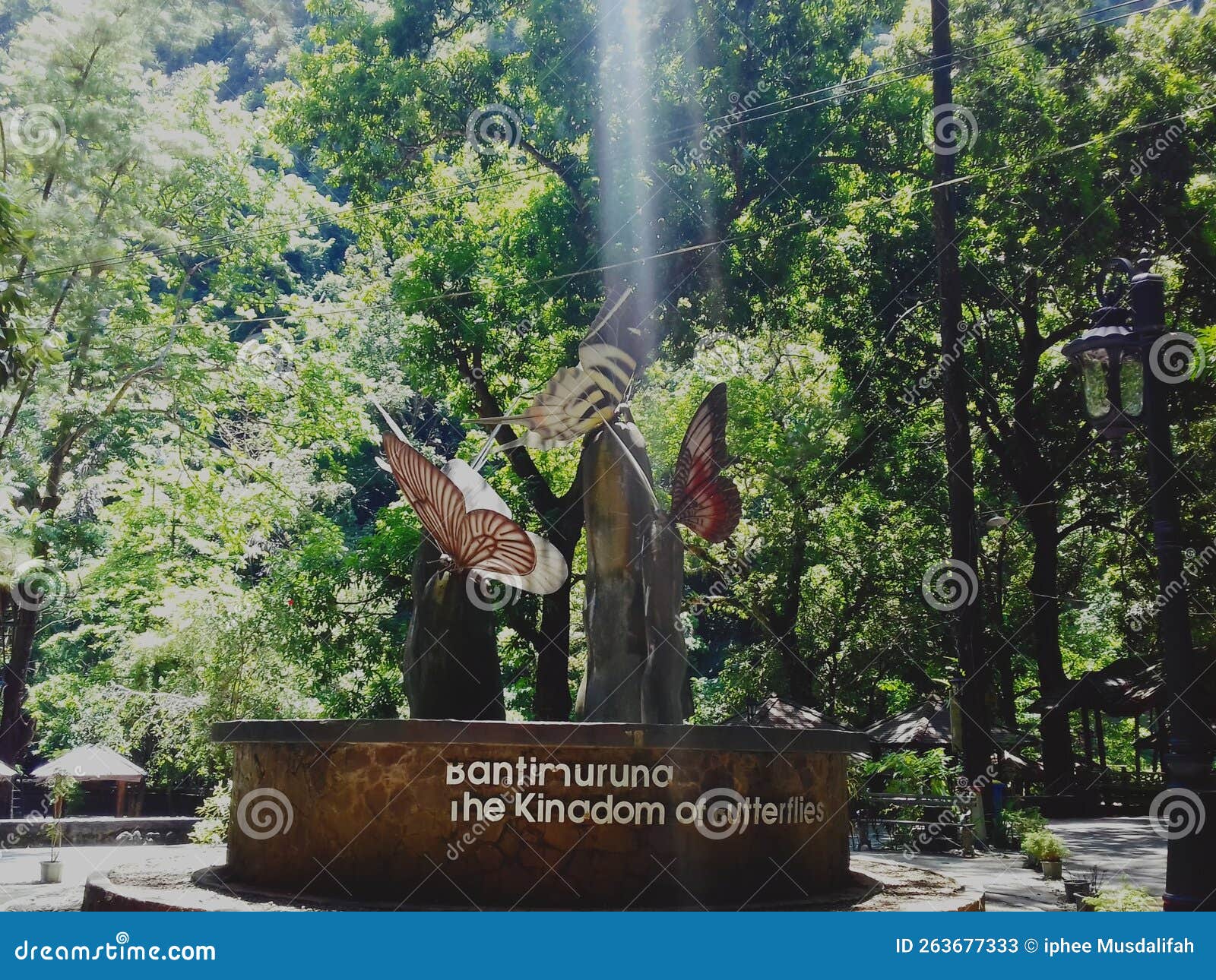 Bantimurung the Kingdom of Butterflies Stock Image Image of holiday