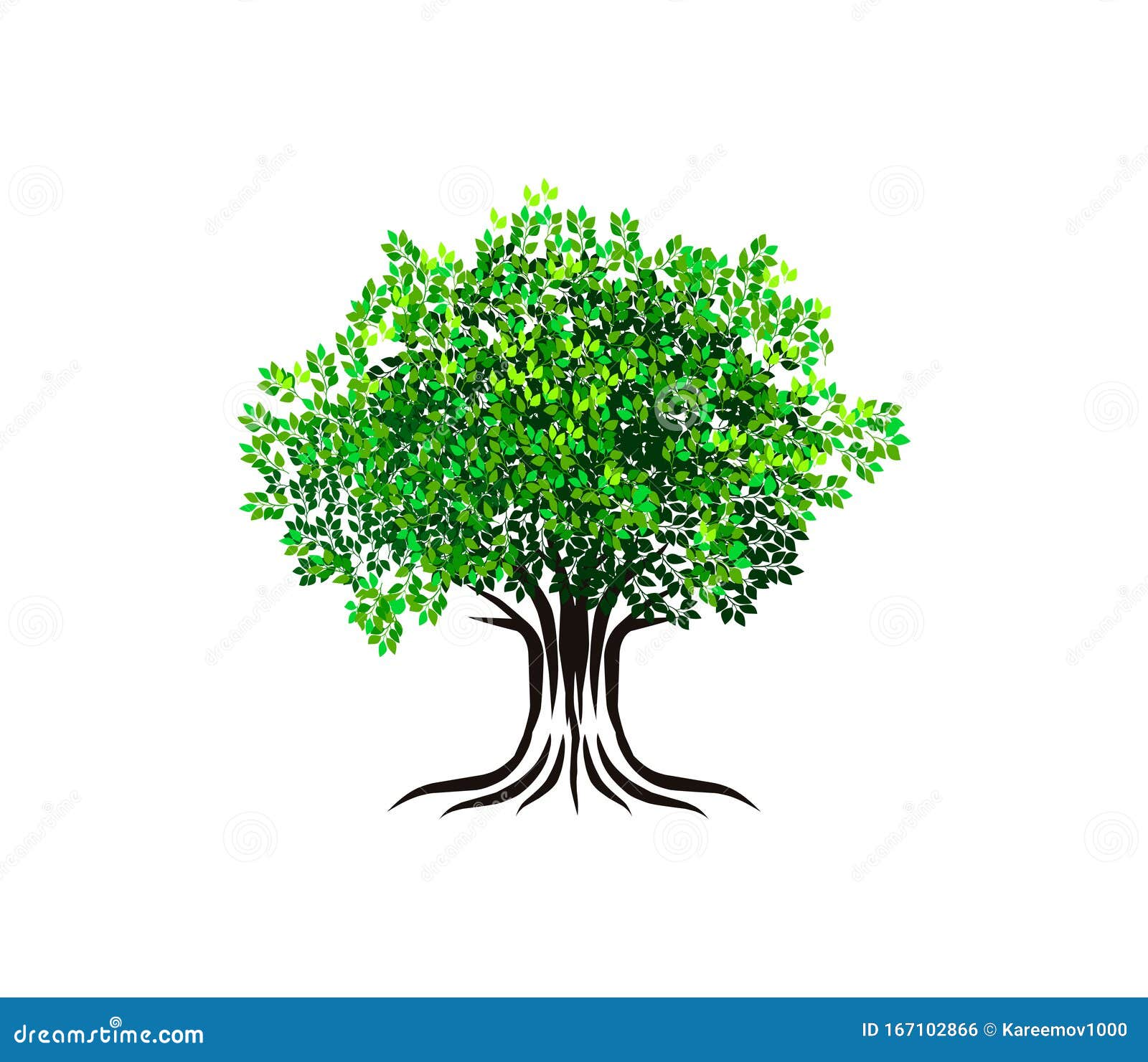 Banyan Baum Baum Des Lebens Bereit Zum Drucken Vektor Abbildung Illustration Von Bereit Banyan