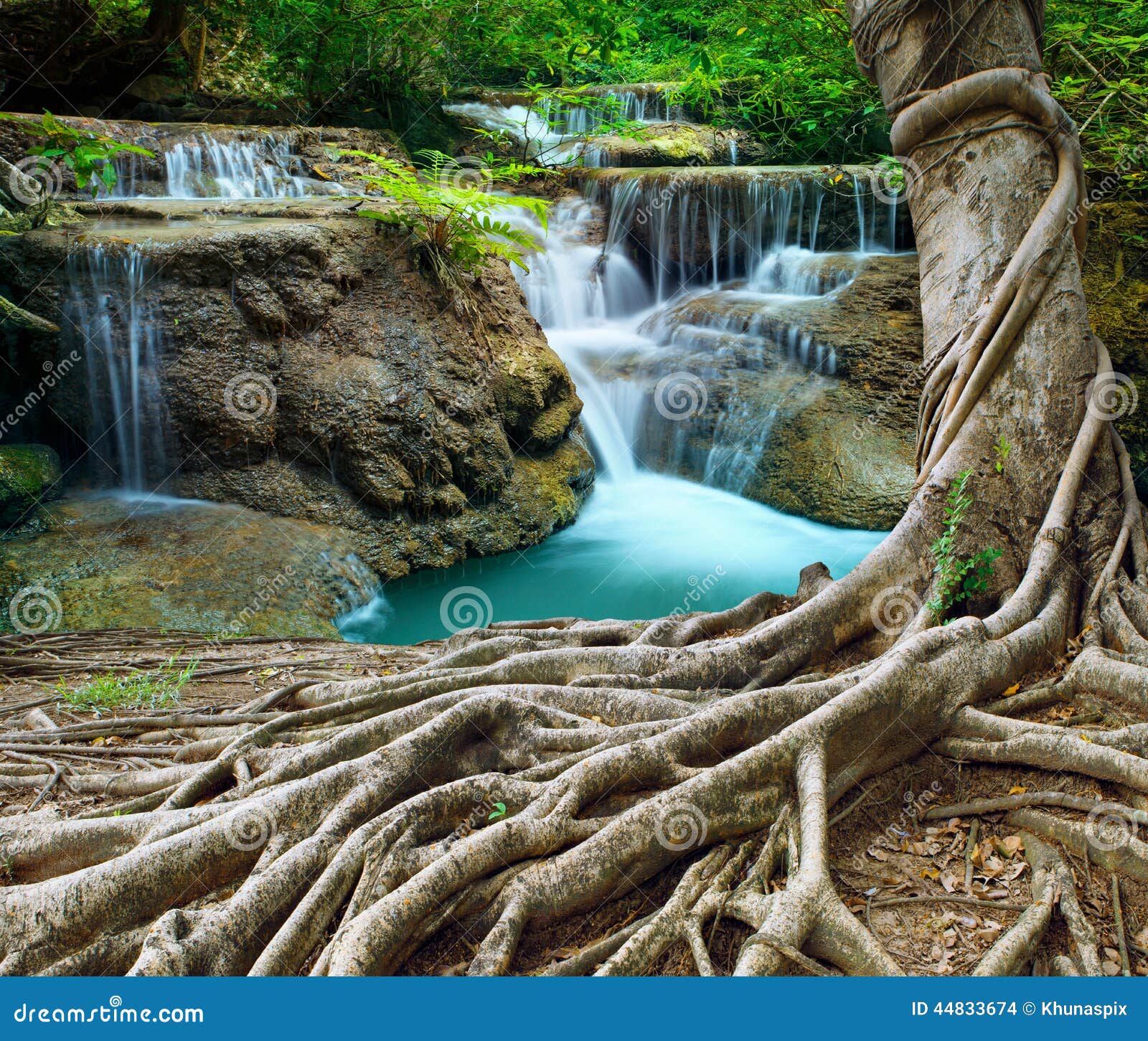 banyan tree and limestone waterfalls in purity deep forest use n