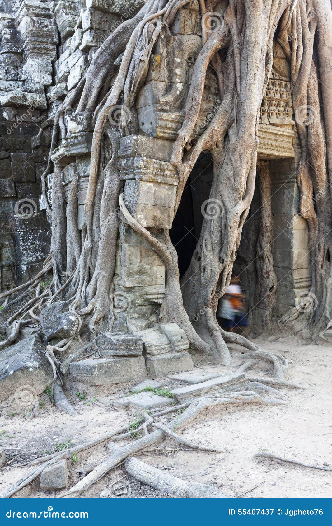 Banyanträd på Ta-somen. Rotar av en overgrowing för Banyanträd fördärvar av tempelTa-Som i Angkor Wat
