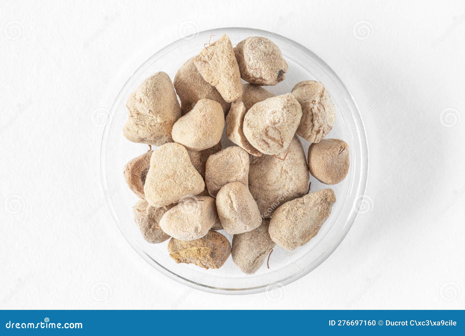 Use of baobab fruit stock photo. Image of health, nature 276697160