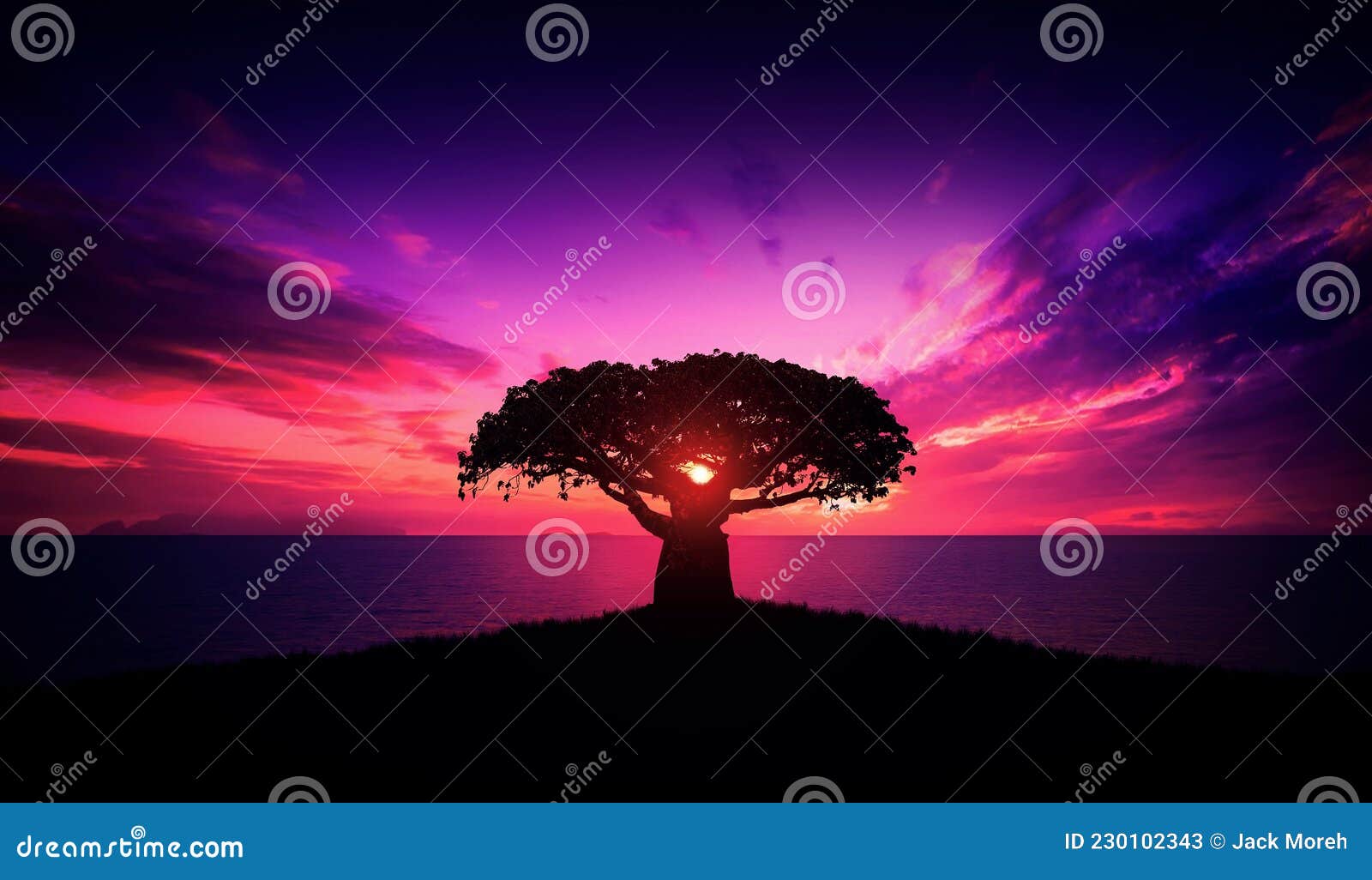 baobab tree at sunset - african landscape - calm - relaxing - tranquility