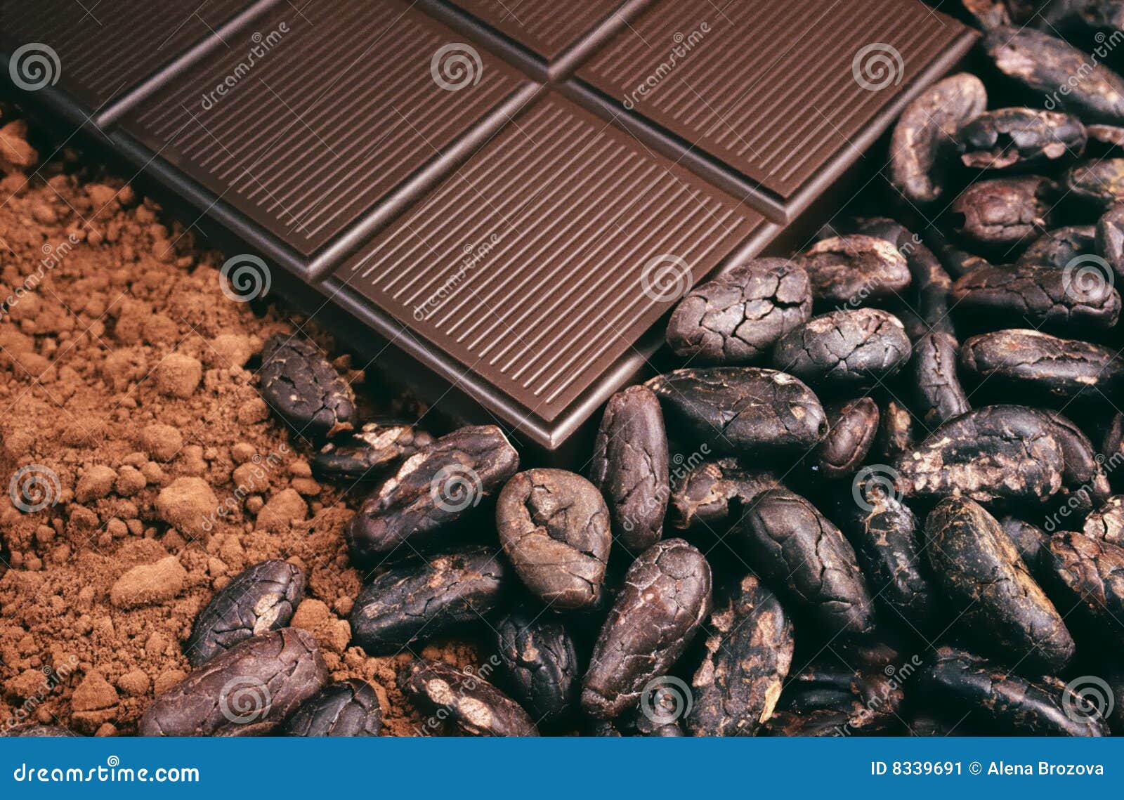 bar of chocolate, cocoa beans , cocoa powder