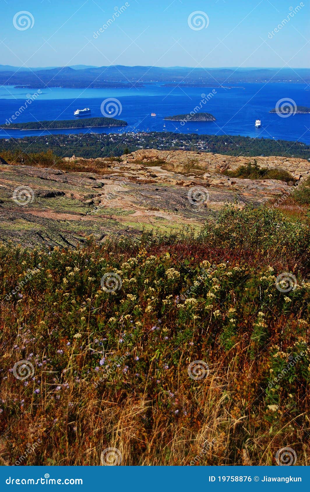 Bar Harbor, Acadia National Park Stock Photo - Image of geologic, moss