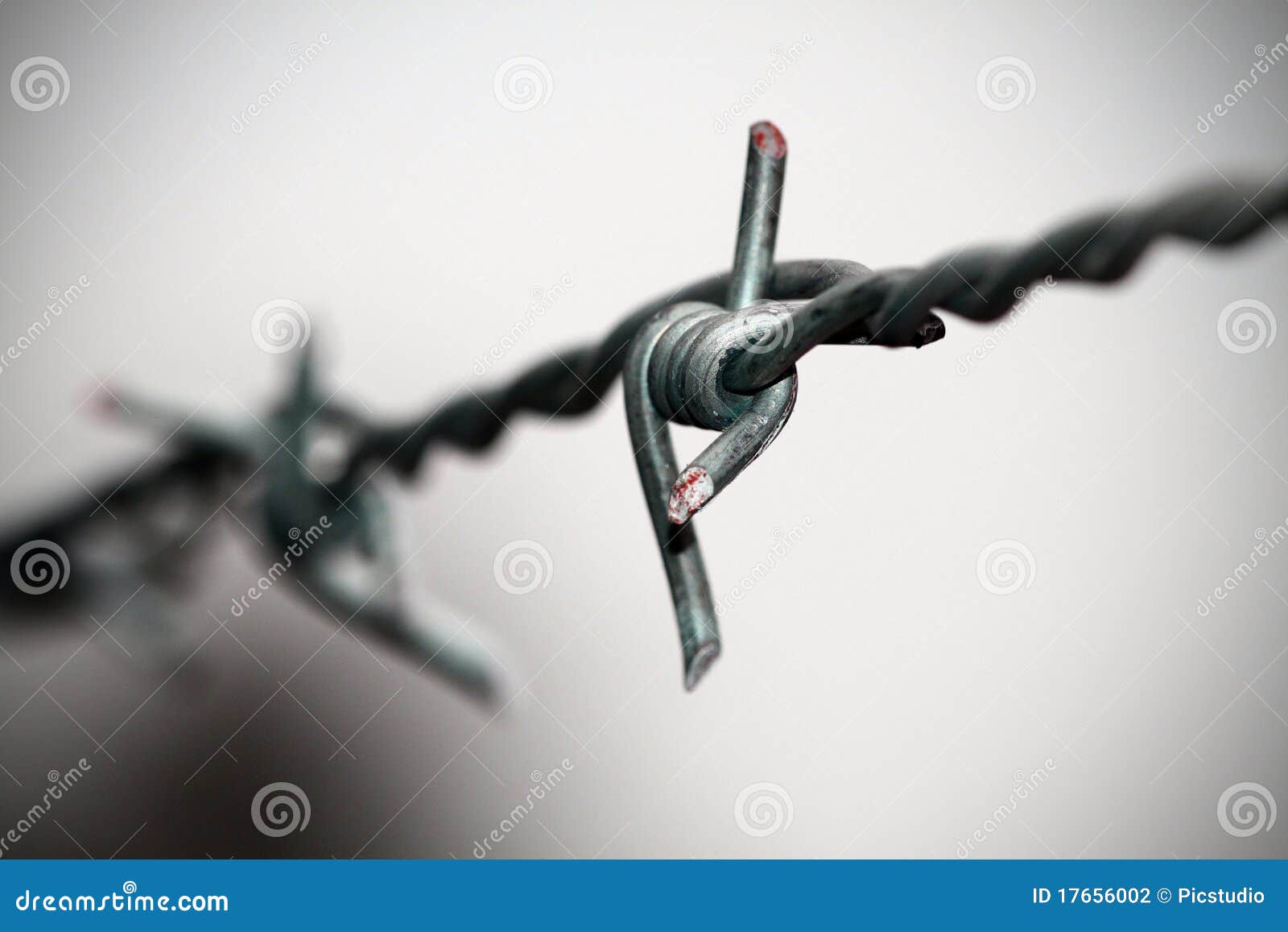 Barb wire closeup stock photo. Image of isolated, edges 17656002
