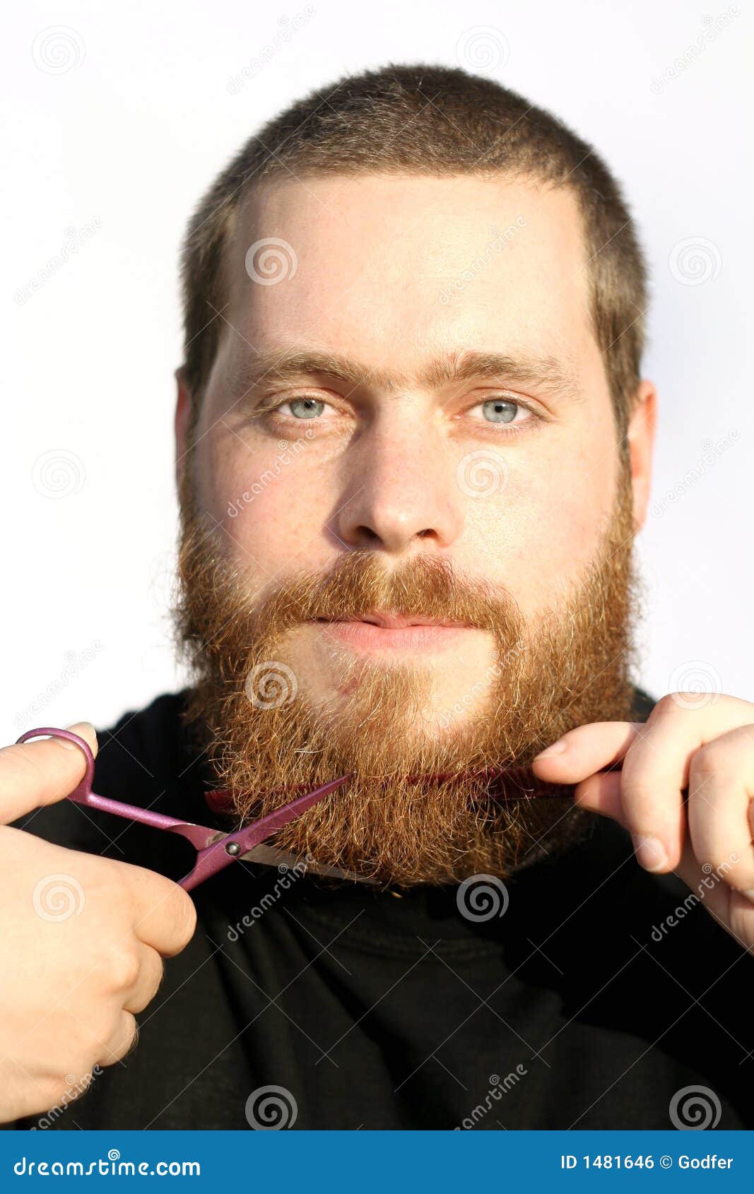 Barba di taglio dell'uomo fotografia stock. Immagine di facciale - 1481646