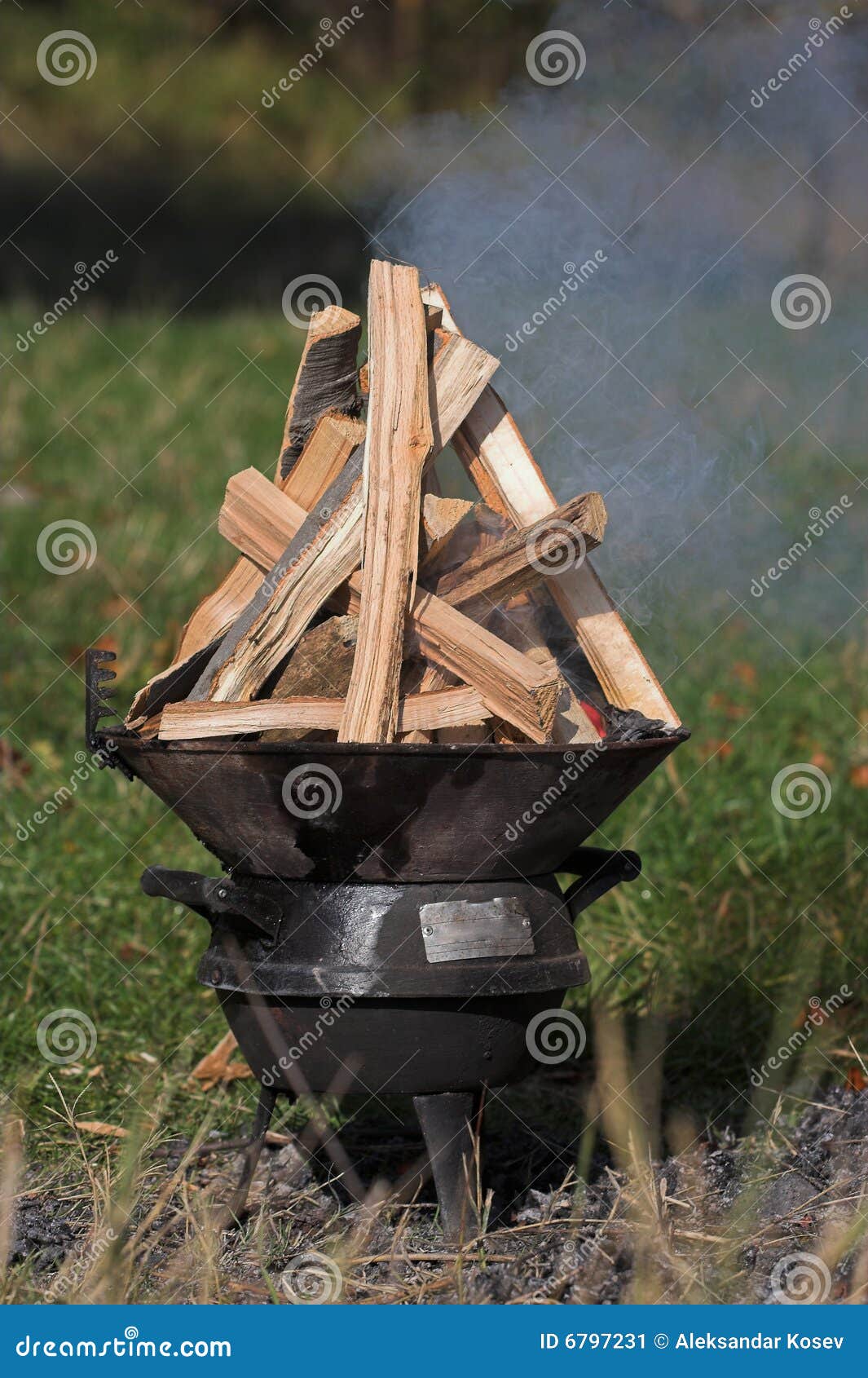 Barbecue stock image. Image of cooking, coal, outdoor 6797231