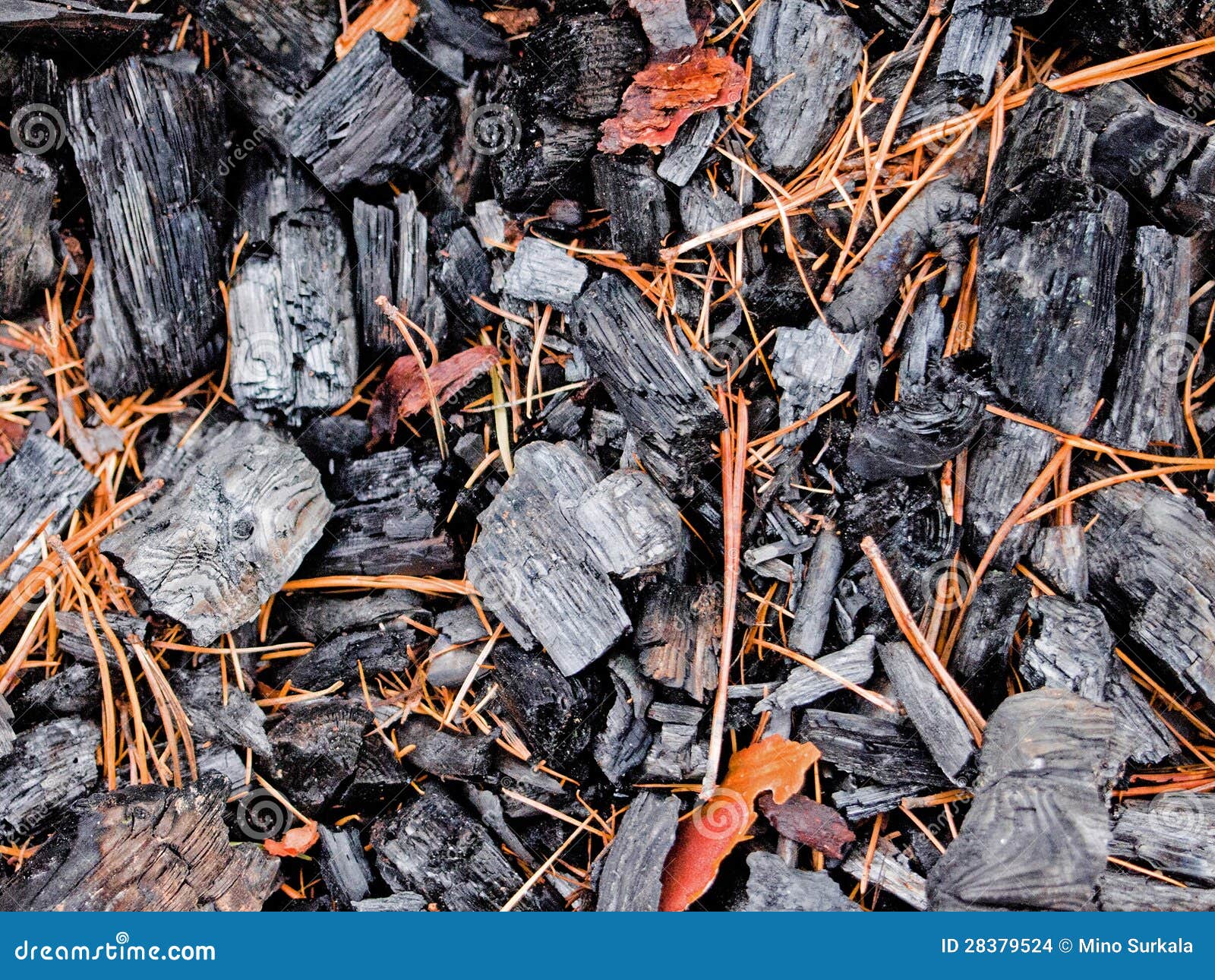 Barbecue ash stock photo. Image of coal, wood, charred 28379524